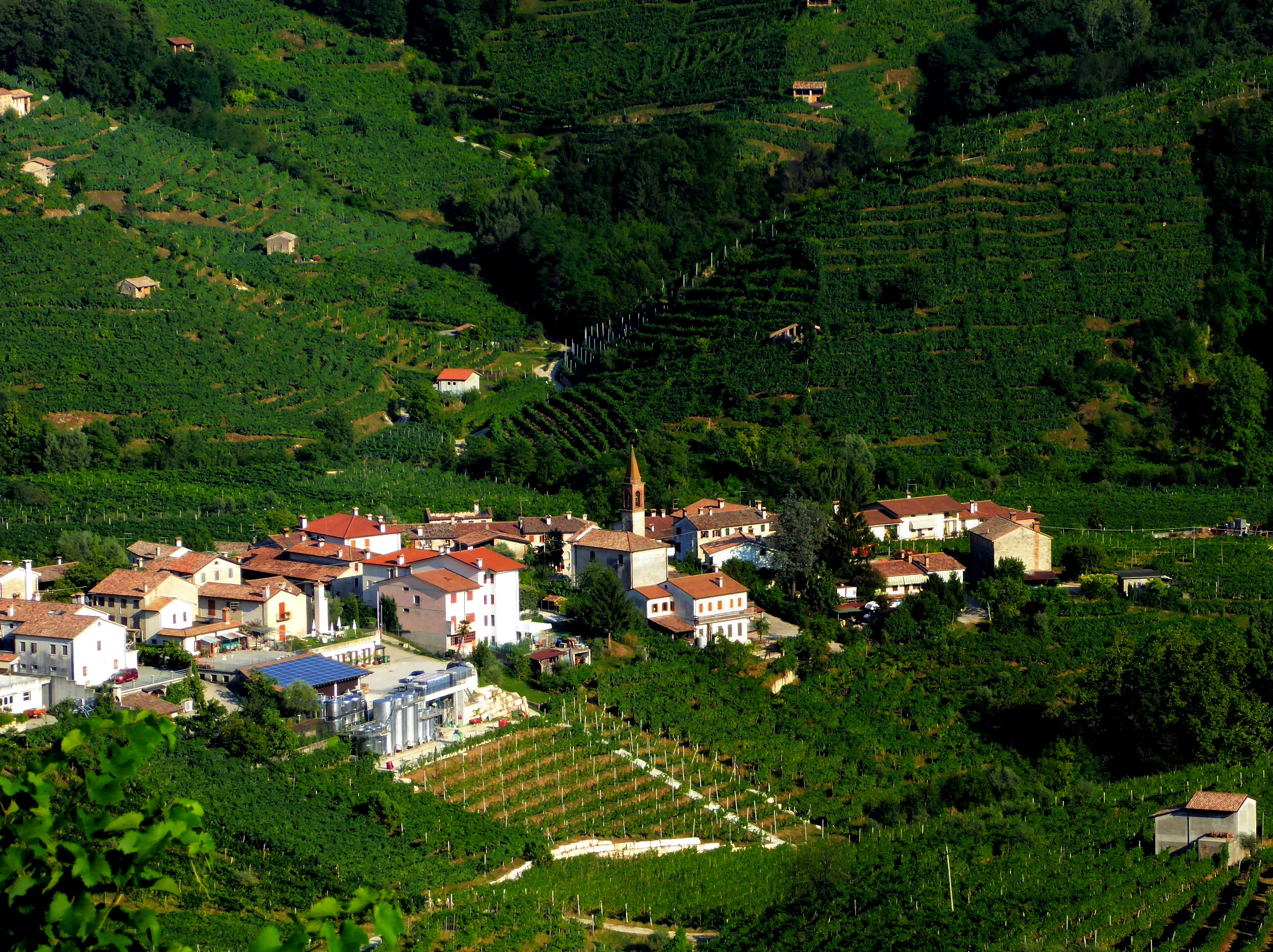 the hills of Prosecco