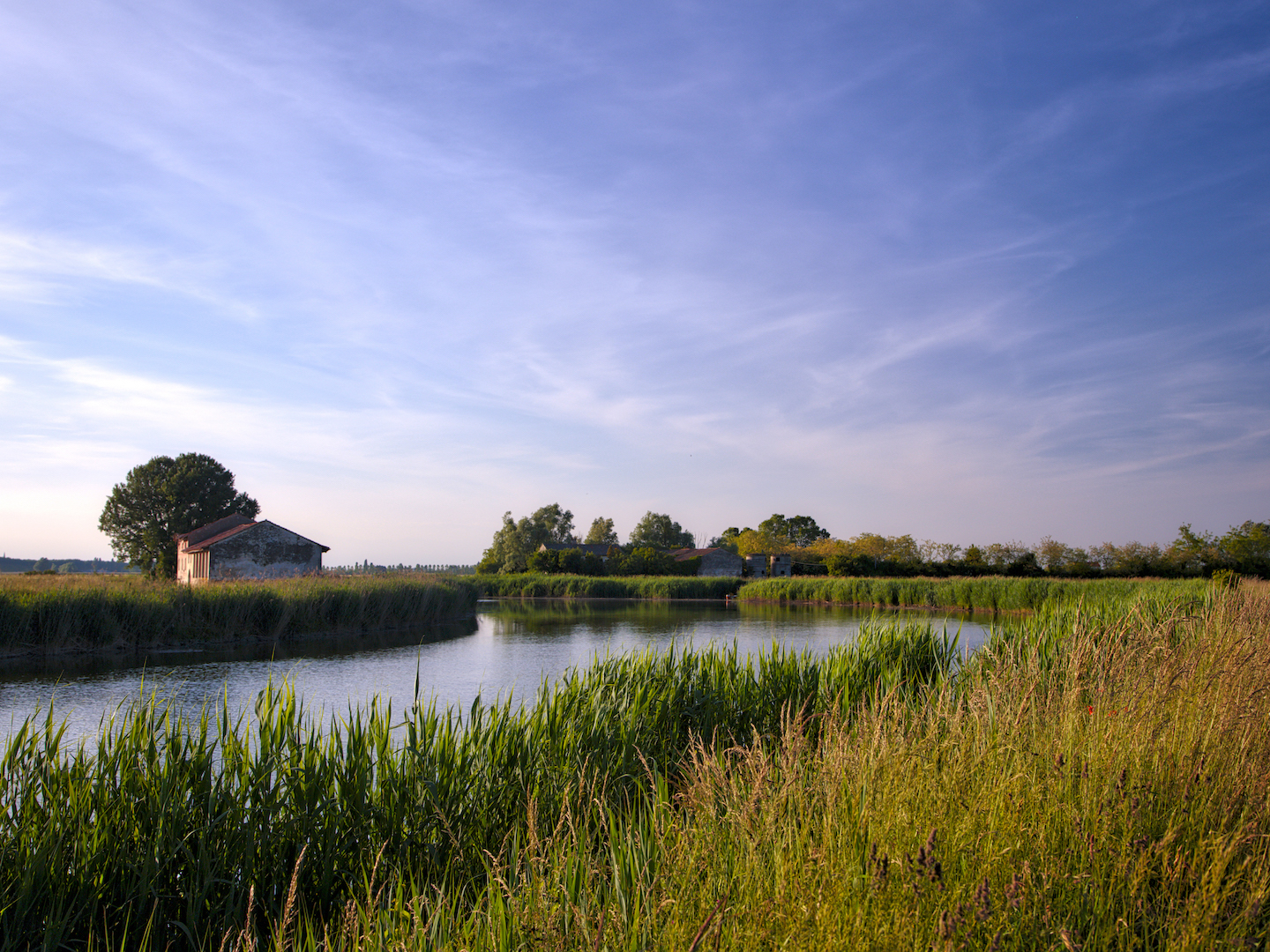 The quiet in the heart