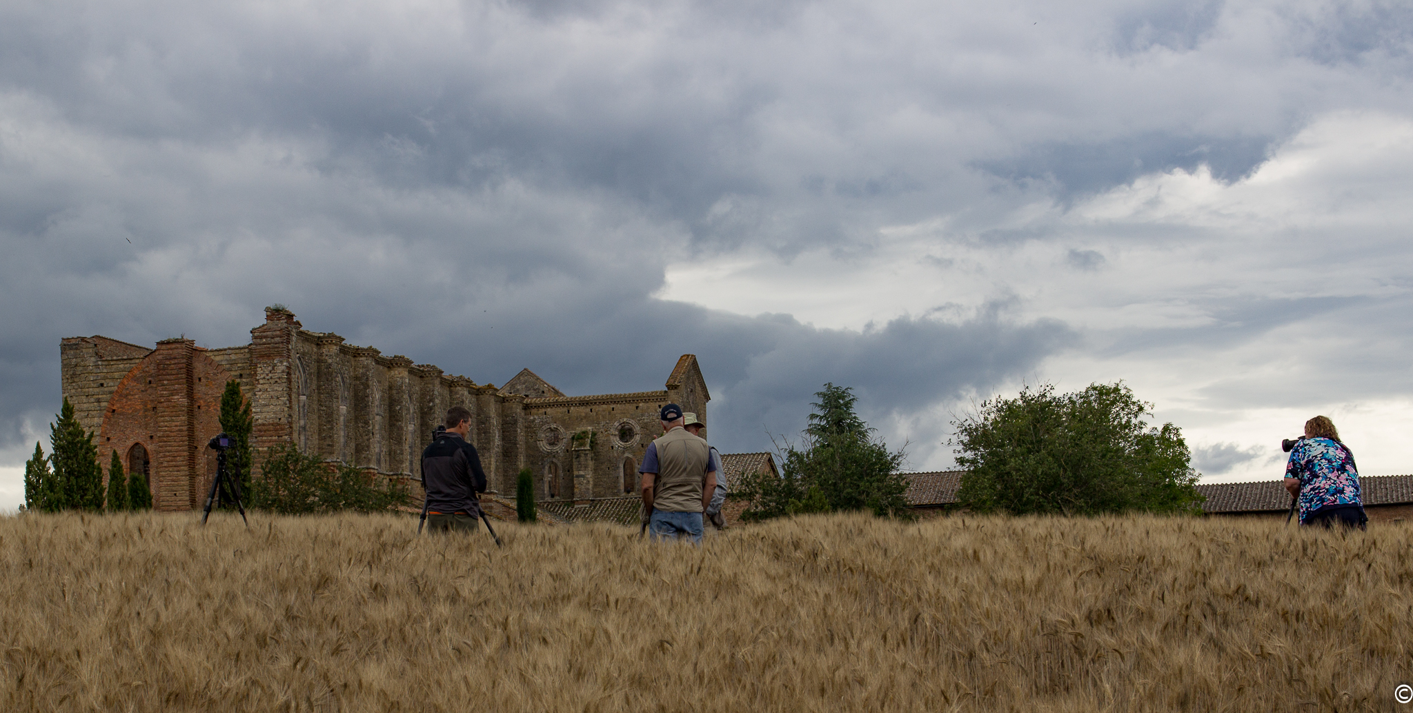 cursed photographers