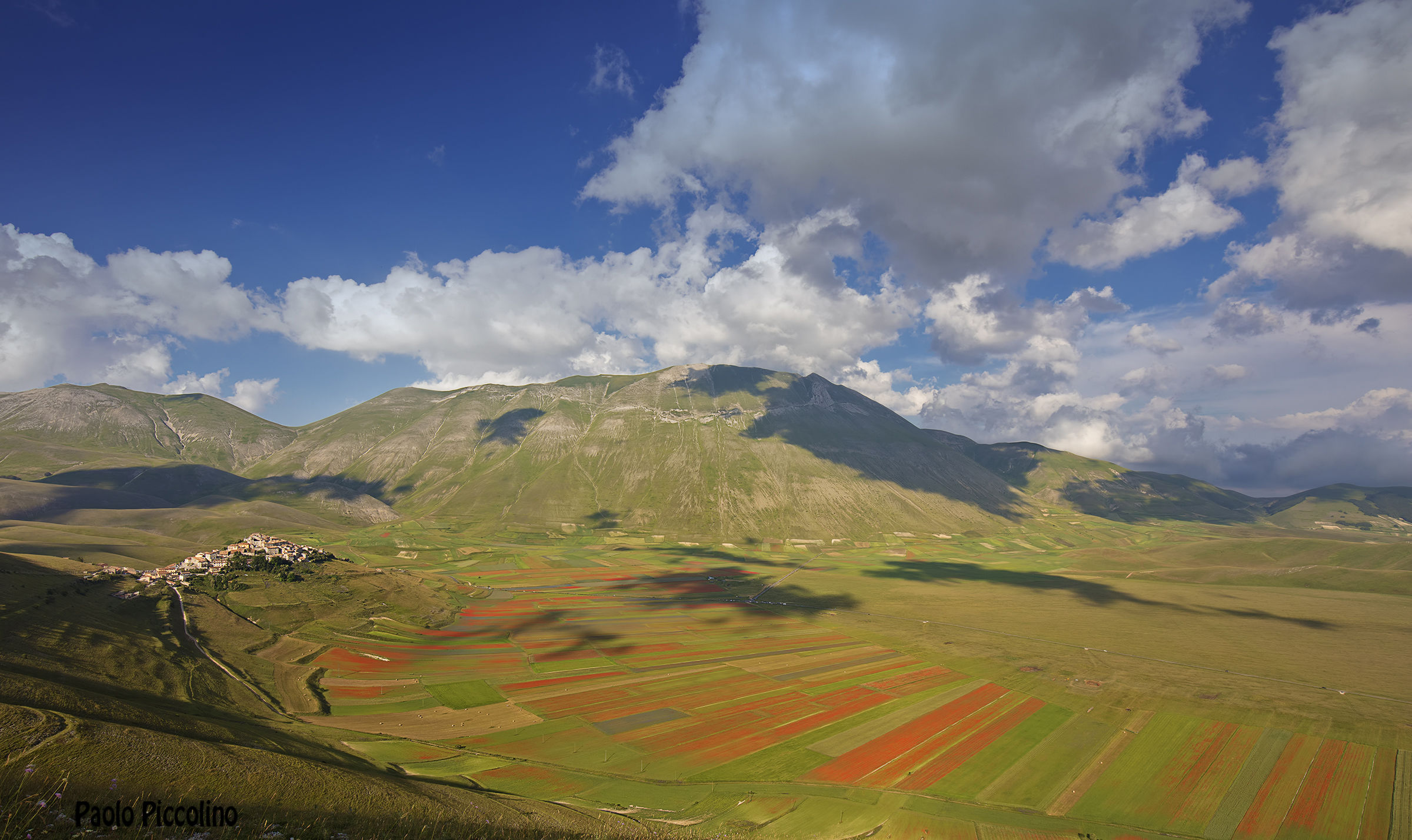 Castelluccio bloom 2016