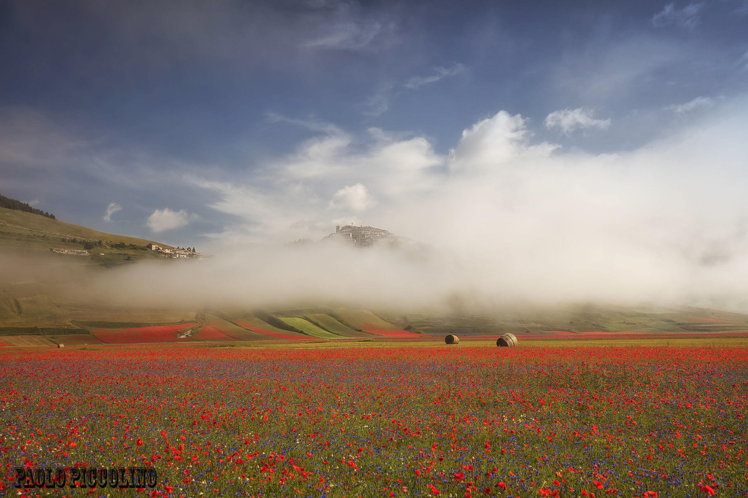 Castelluccio bloom 2016