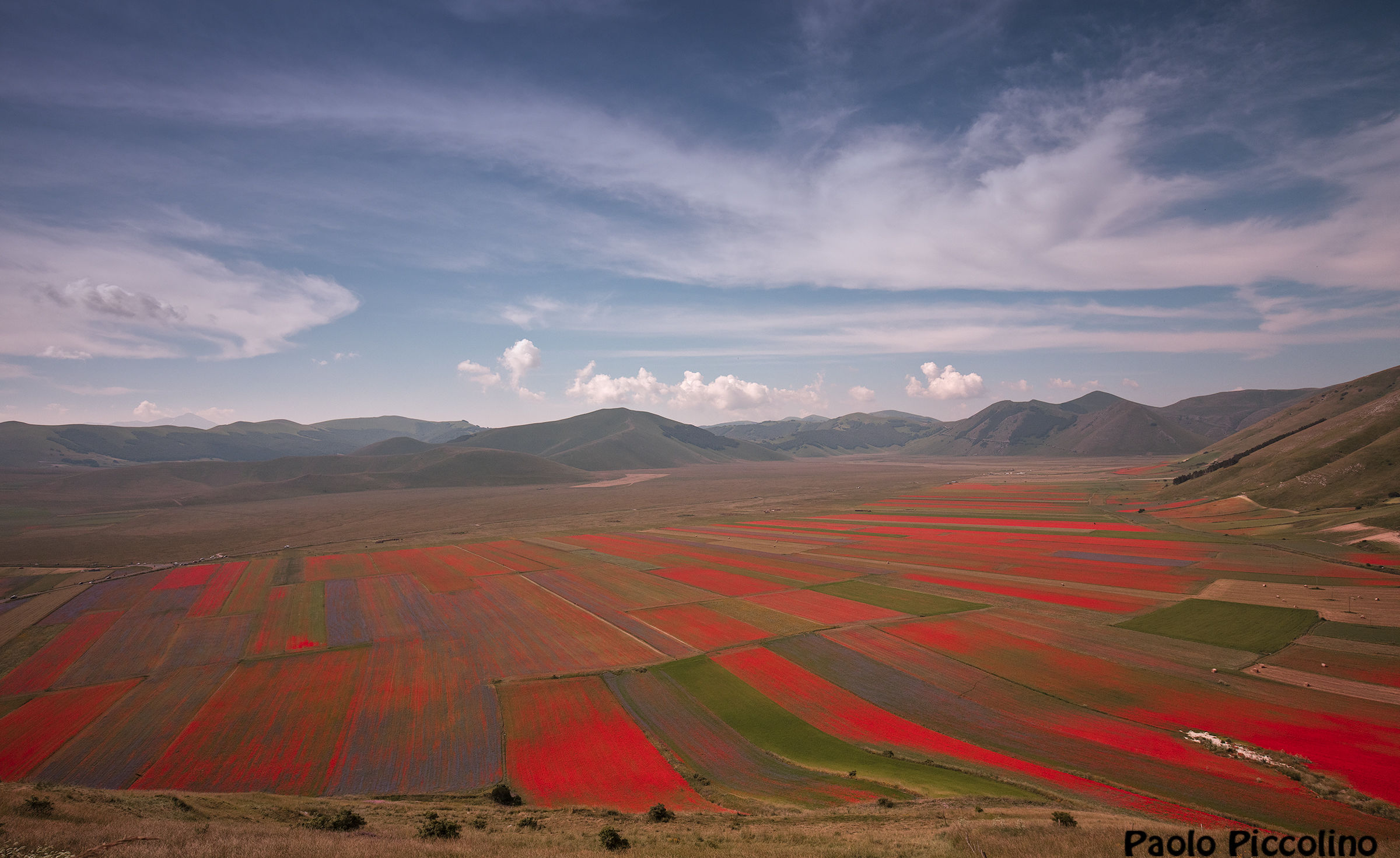 Castelluccio bloom 2016