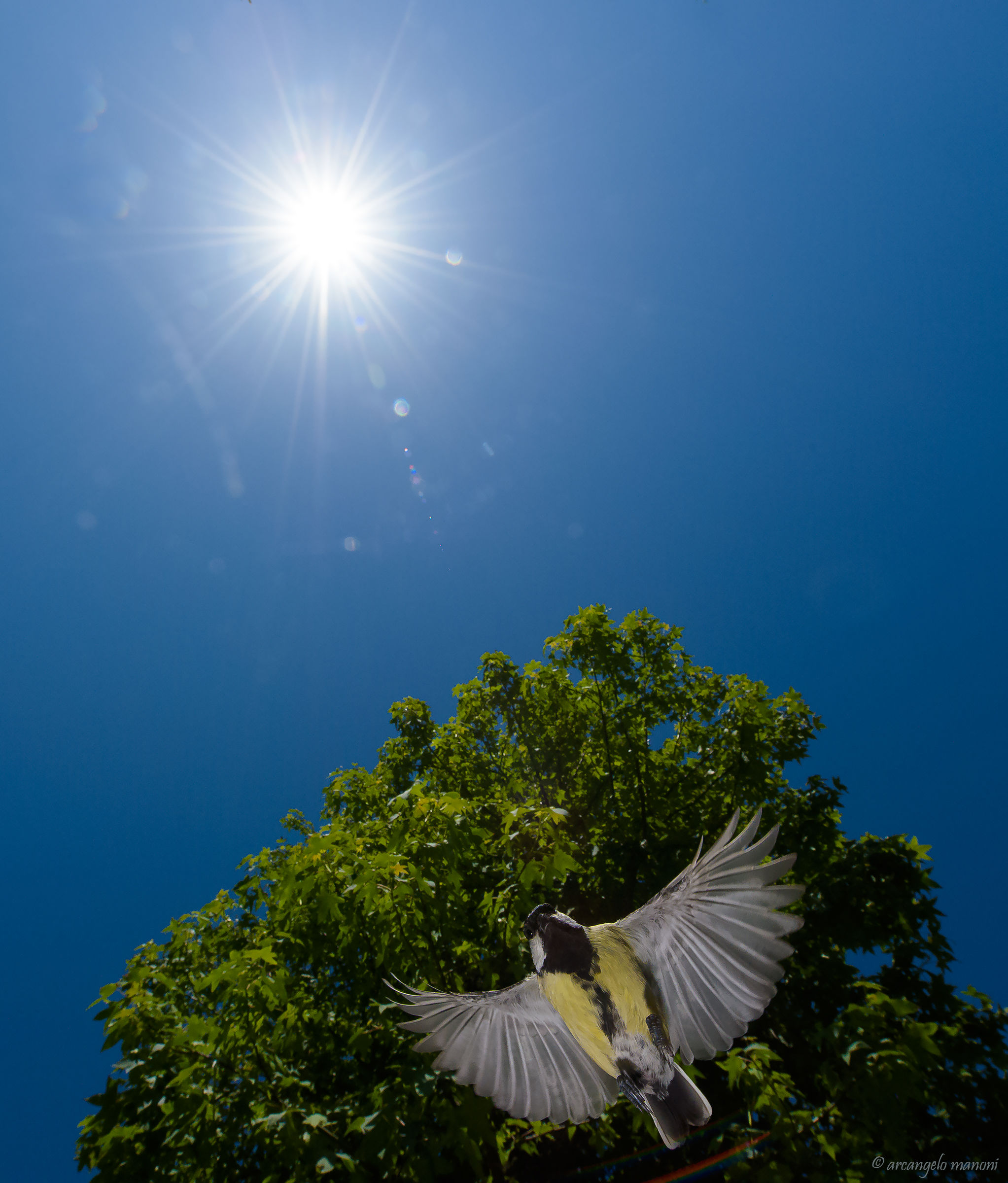 Tu mi fai girar la testa