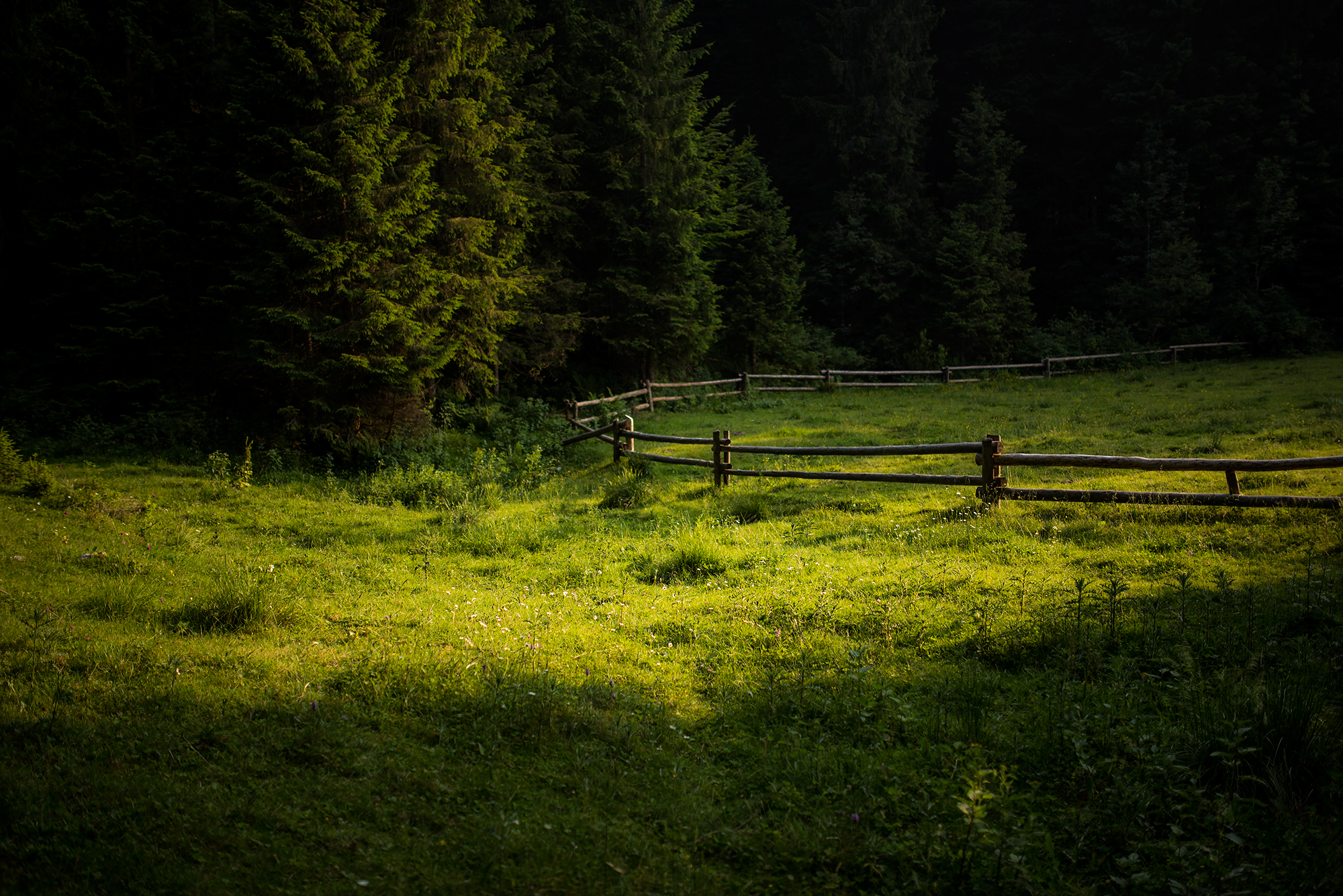 Cercando un po' di serenità, dopo una giornata di...