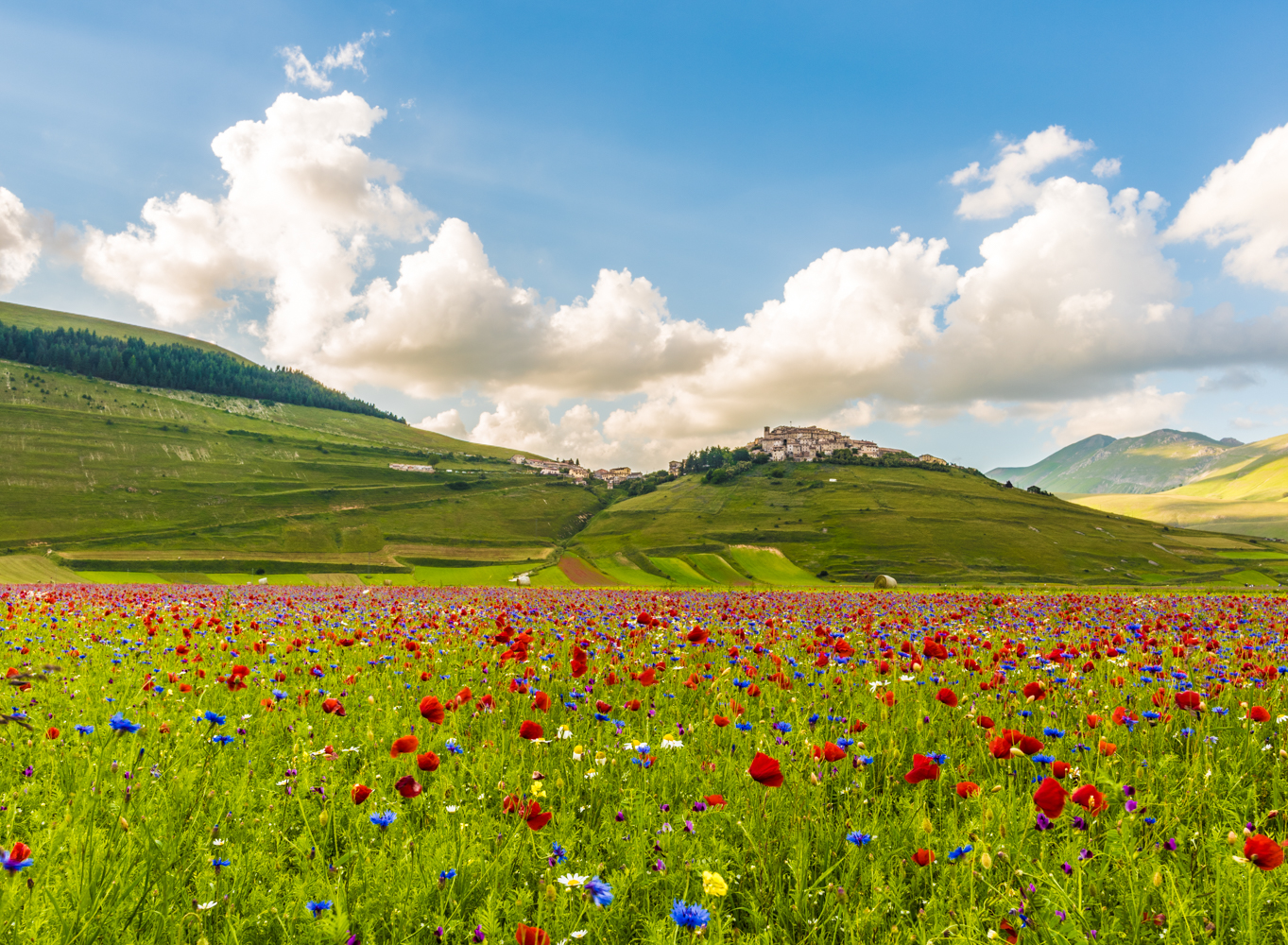 Dalla piana di castelluccio 3