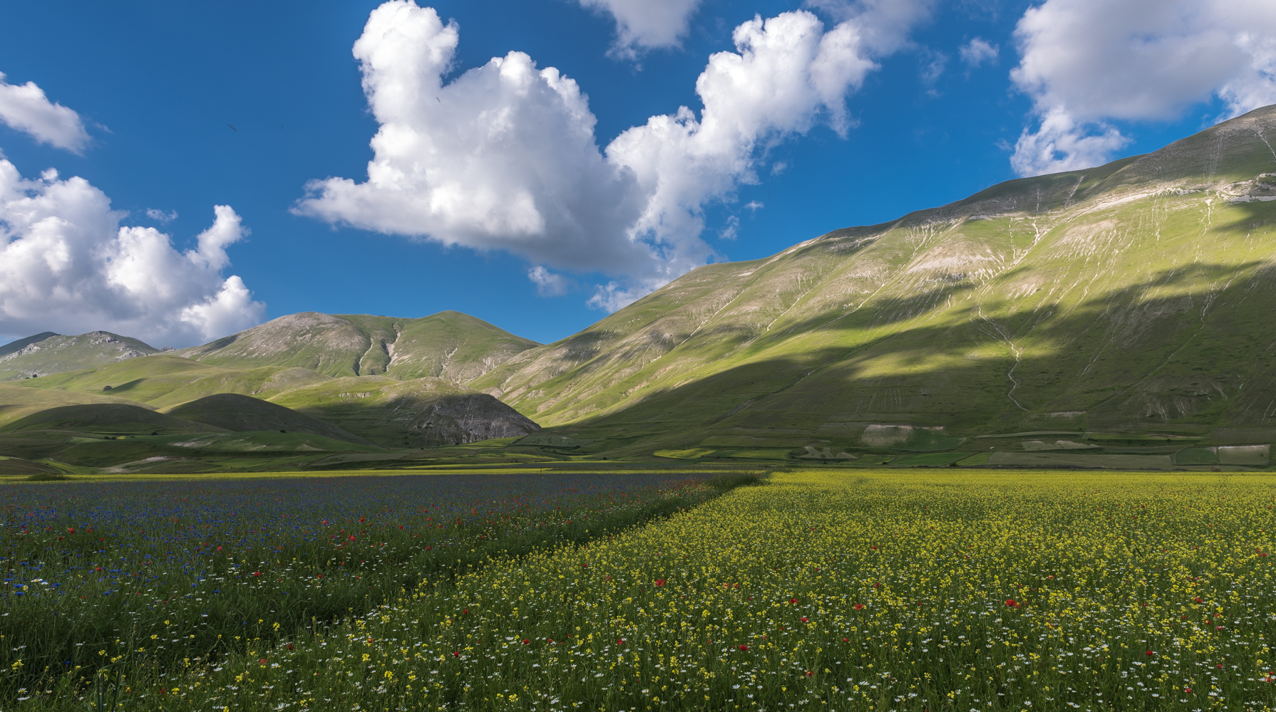 Dalla piana di castelluccio 4