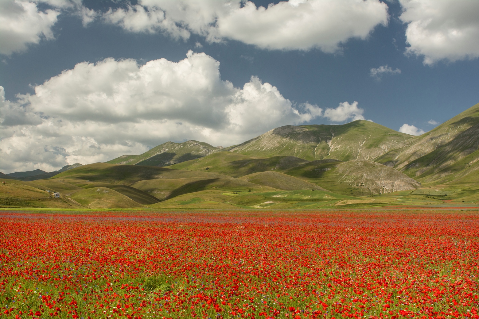 Castelluccio 2016