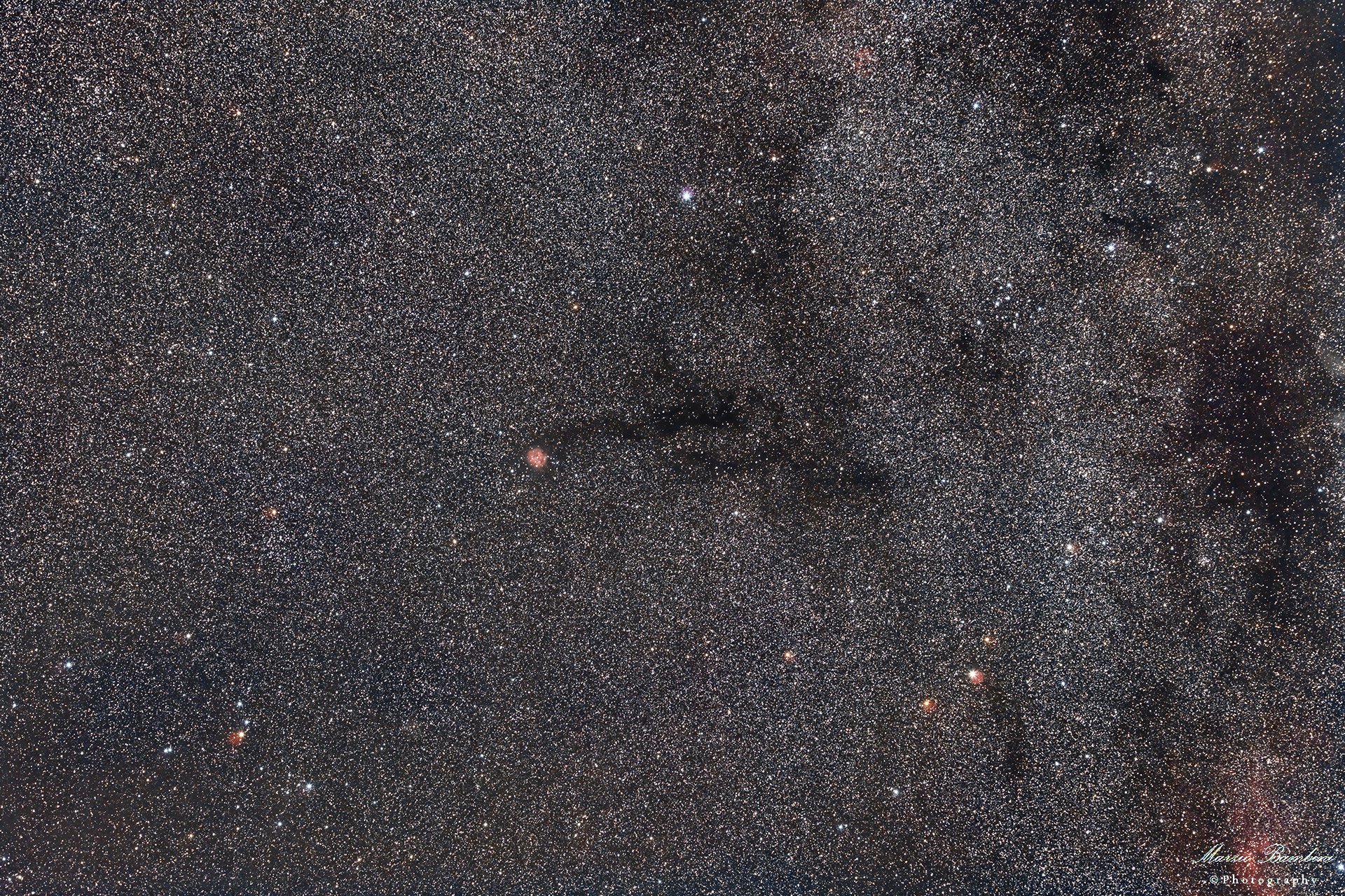 Wide Field Cocoon Nebula