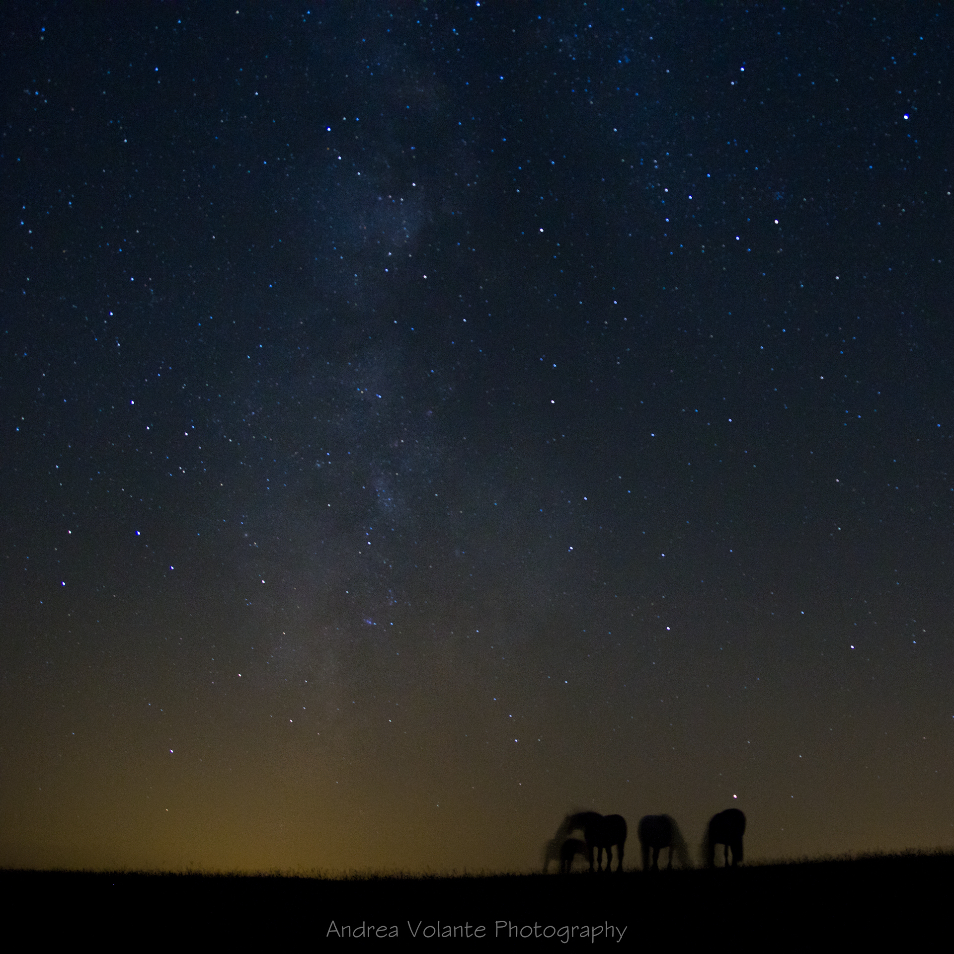 ..certe notti d'estate!
