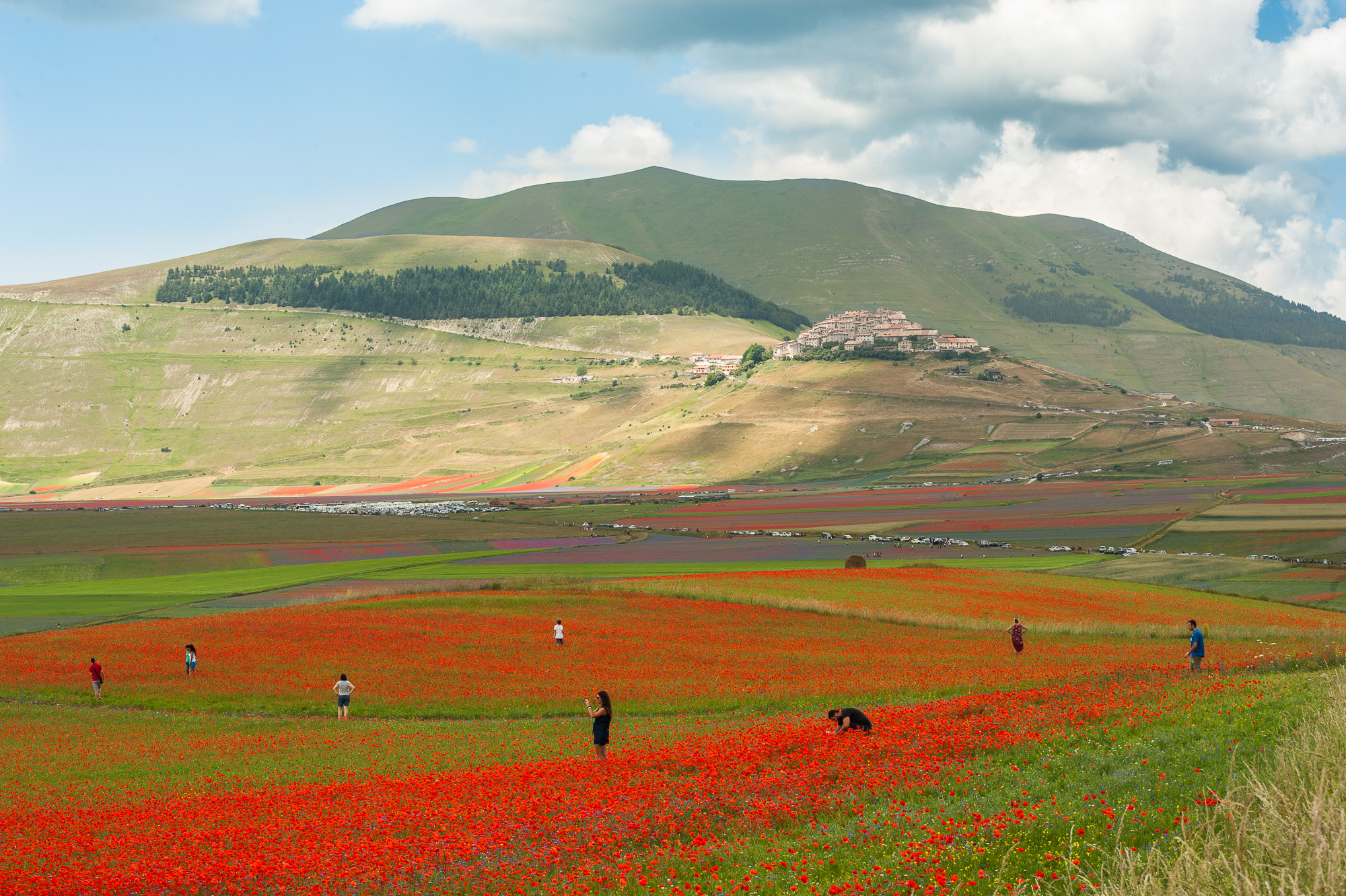 Magic castelluccio