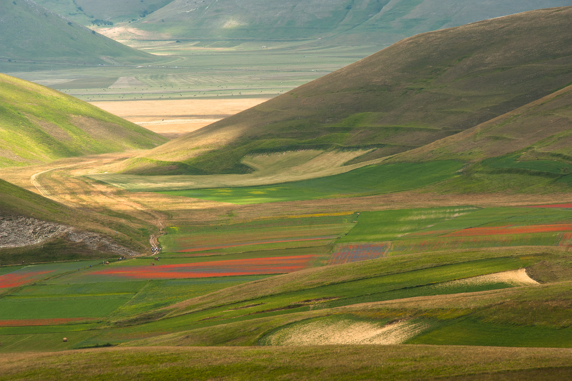 Castelluccio 2016