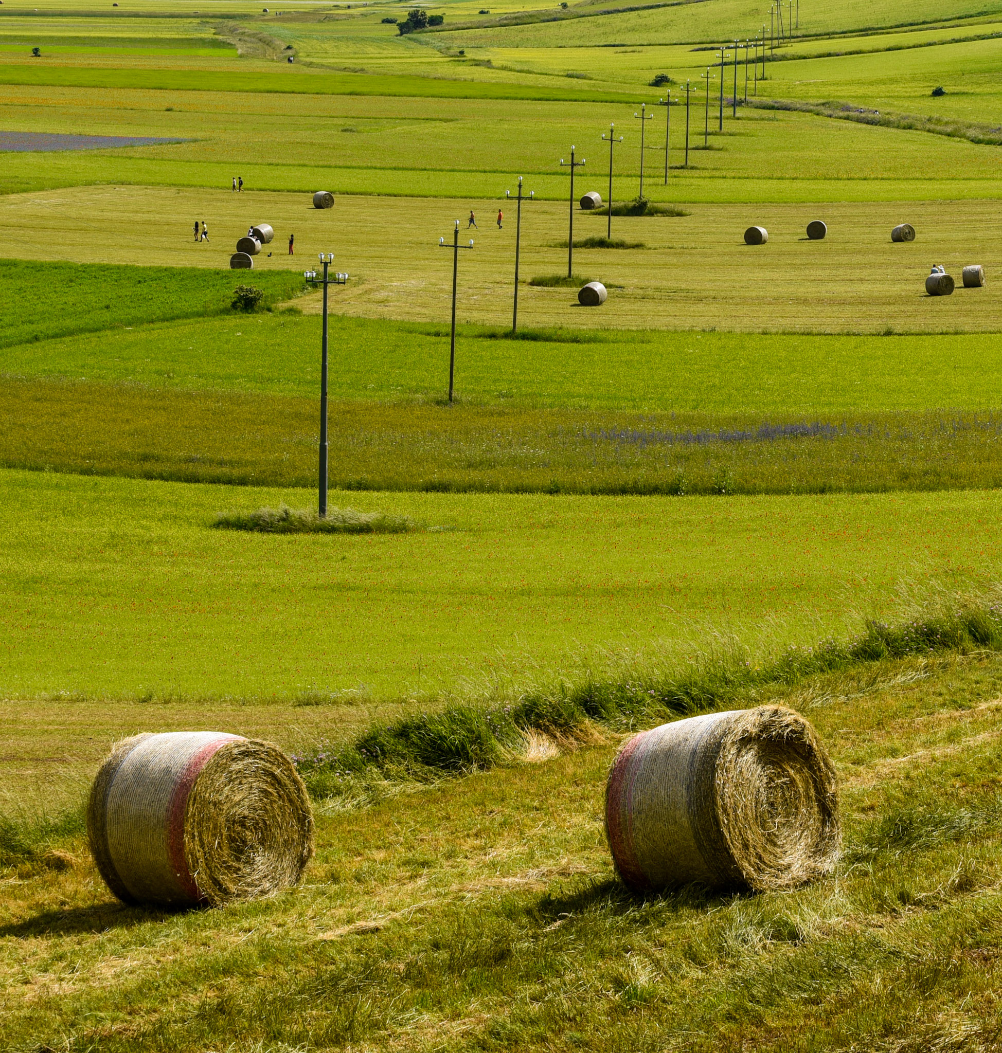 Castelluccio