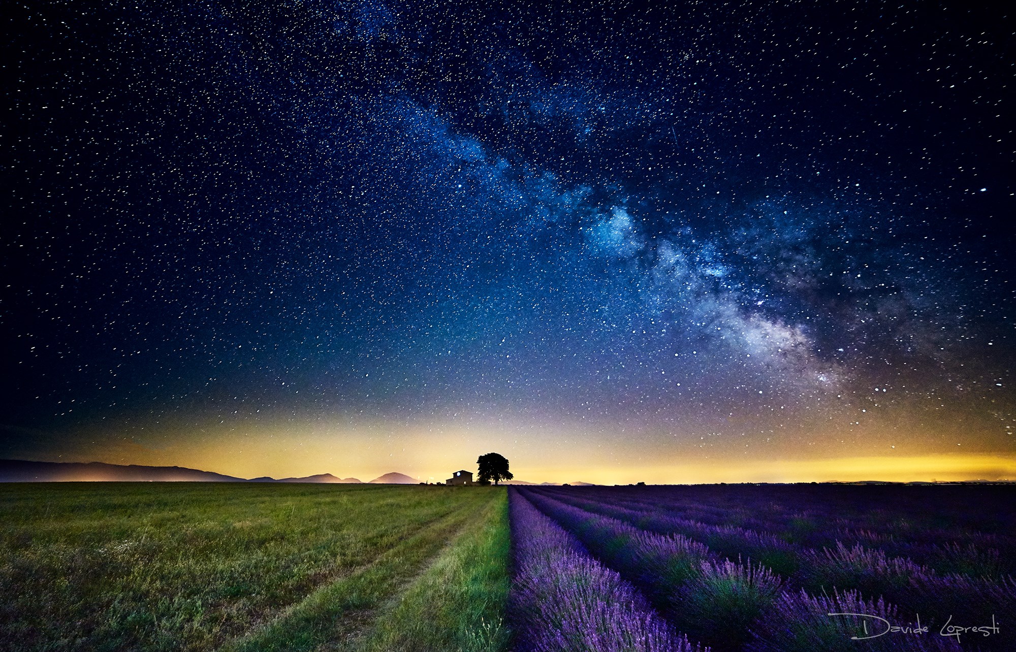 Provenza - Valensole