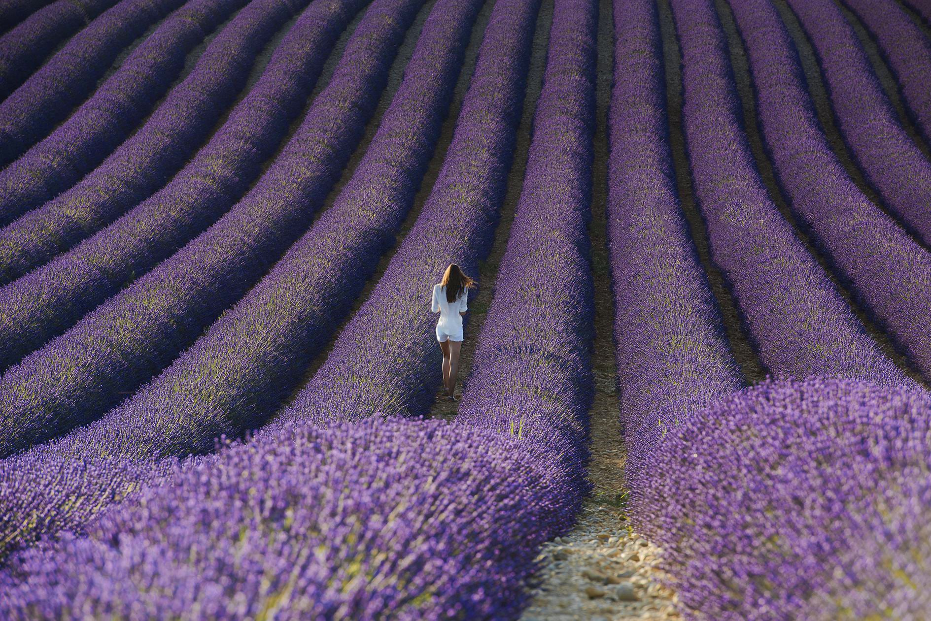 I was inspired by alternative viewing angles ...