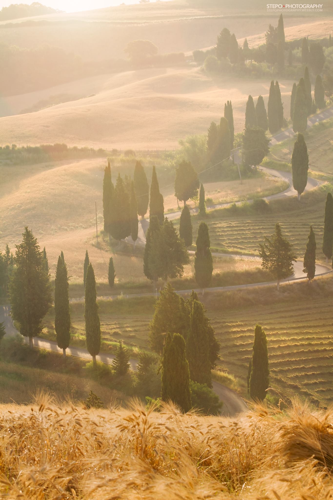 Tuscany in a dream