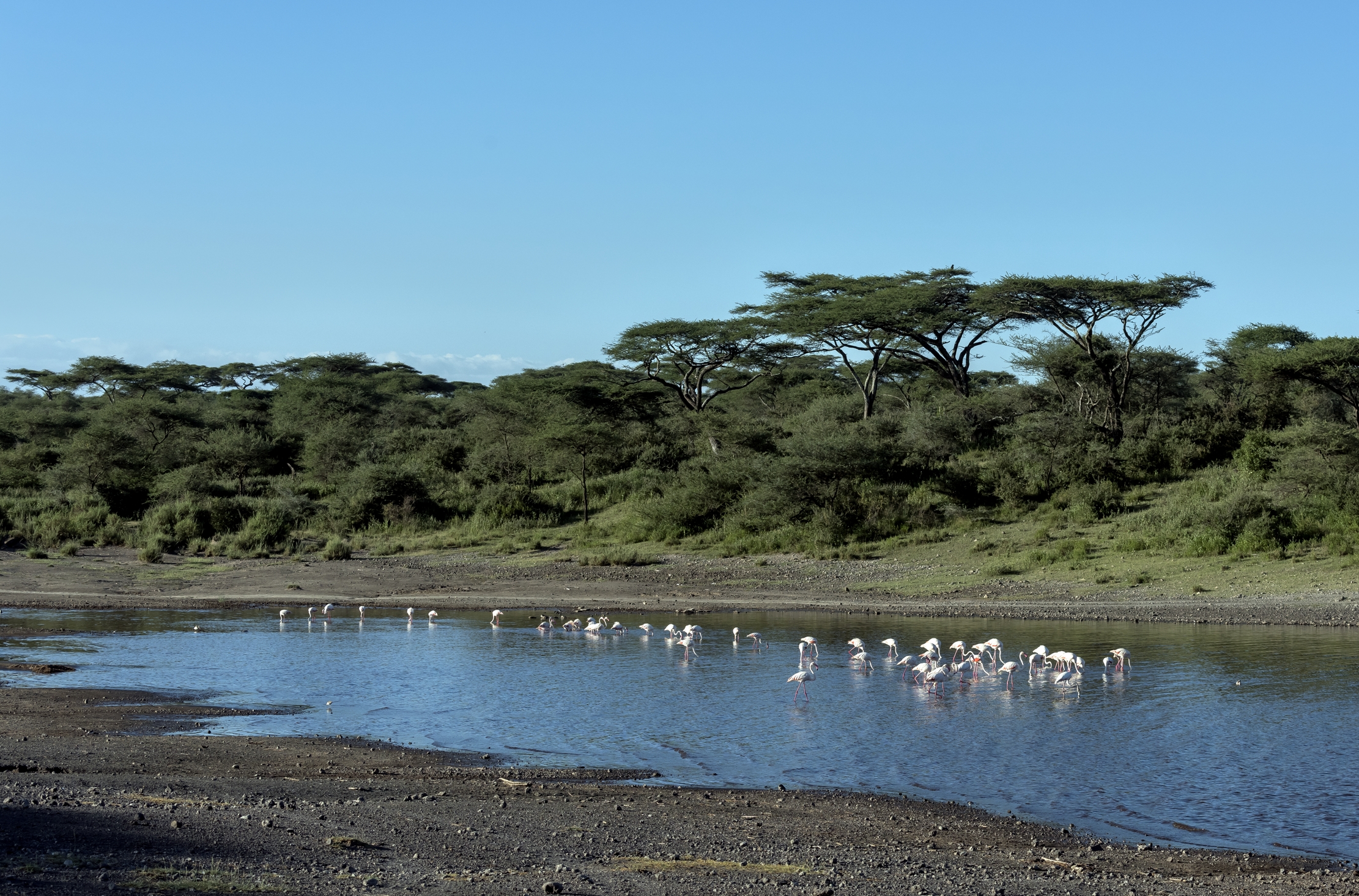 Tanzania 2016 - Lake Masek