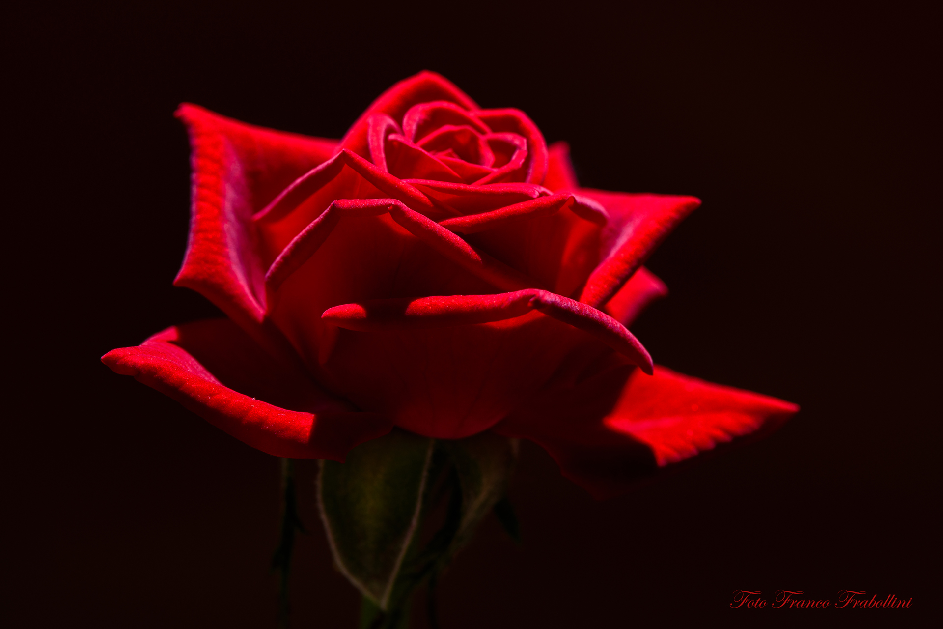 Red as the passion ....