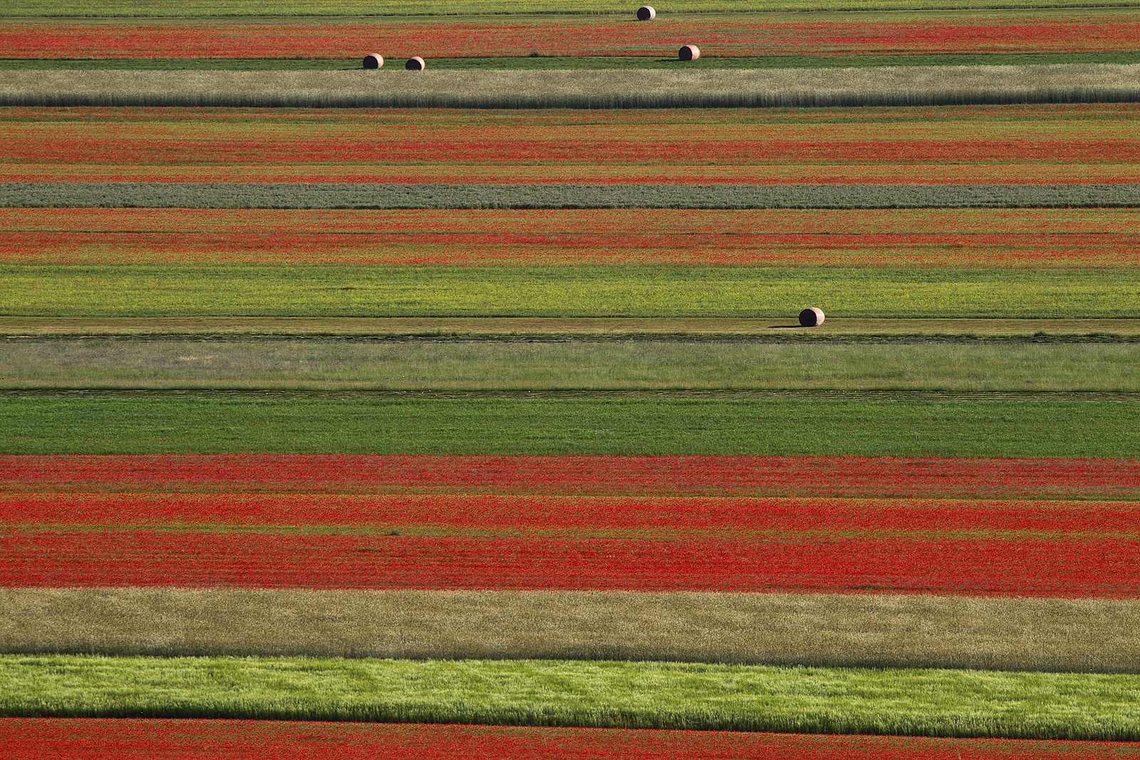 Castelluccio