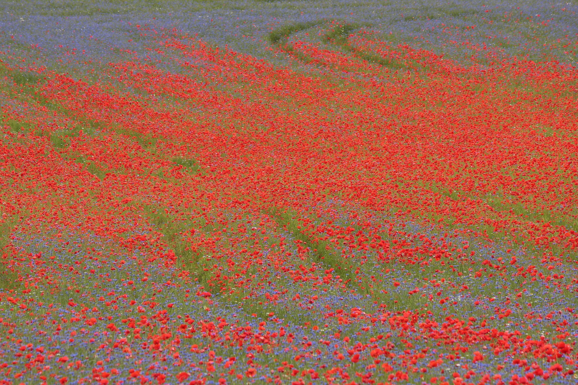 Integration of colors