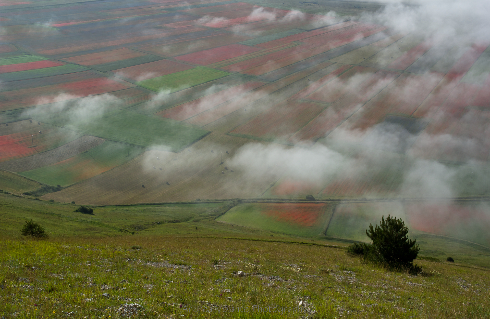 Spettatore privilegiato...