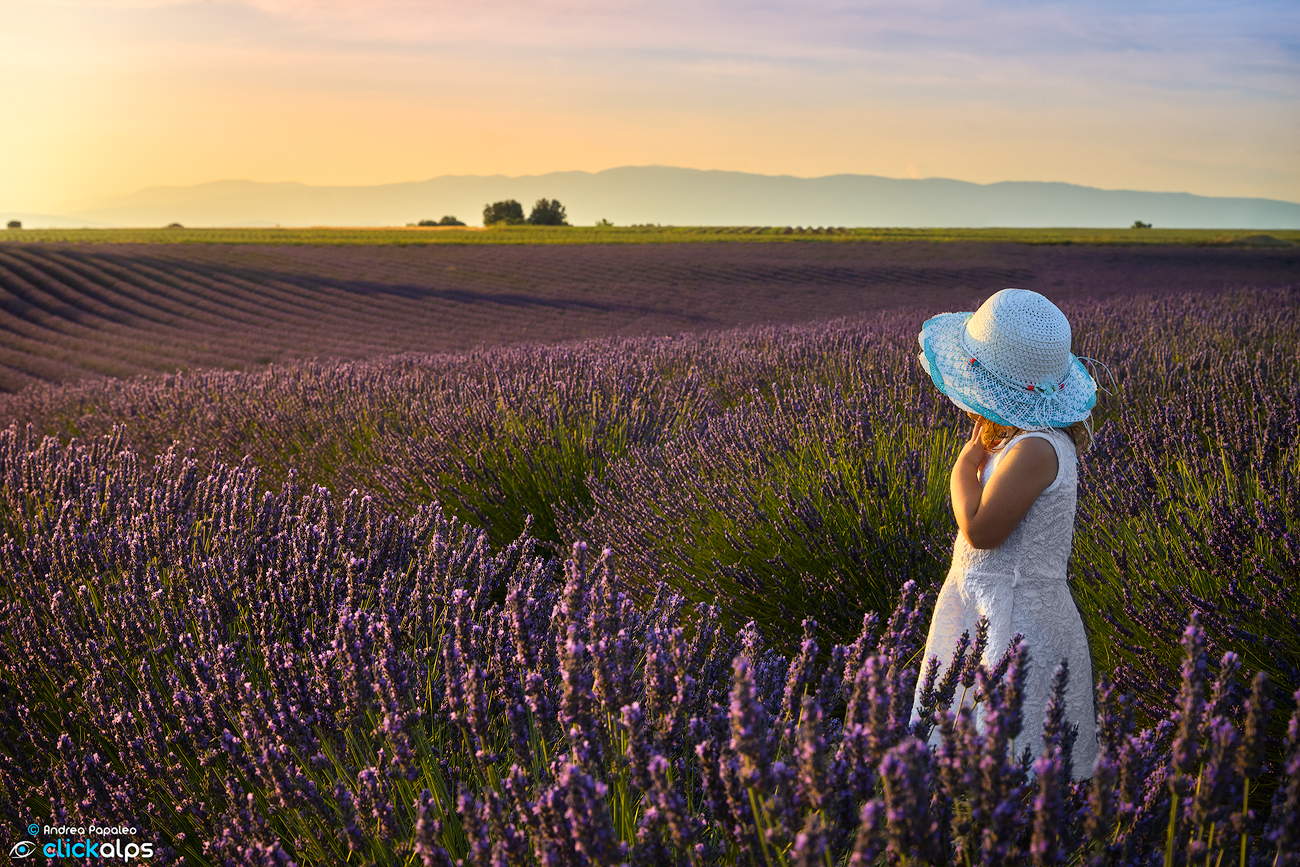 Nicole nei campi di lavanda