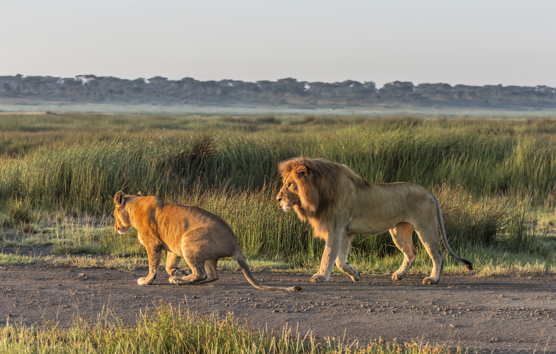 Tanzania 2016 - Coppia