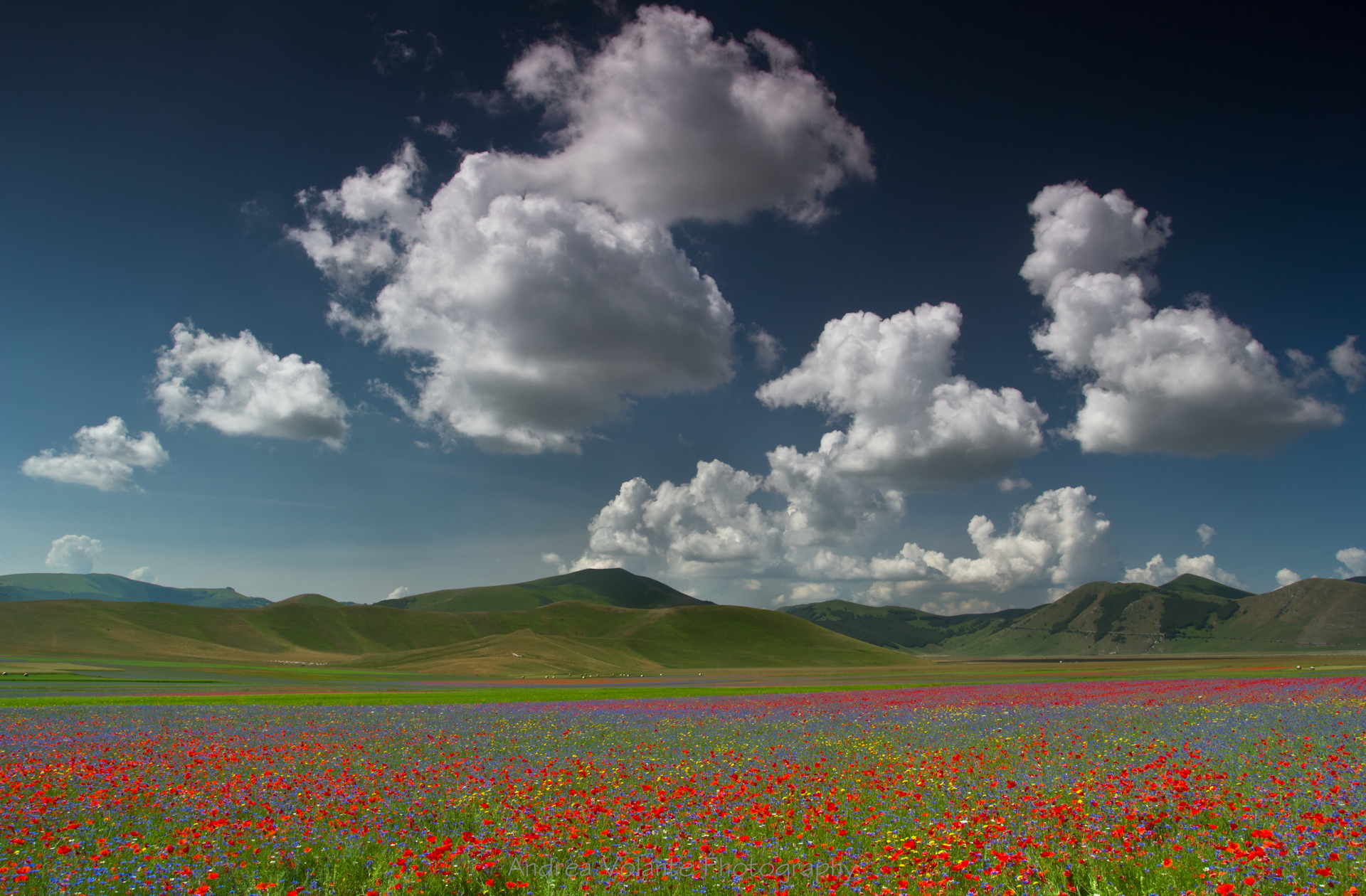 Pian Grande ..di fiori ti rivesti!