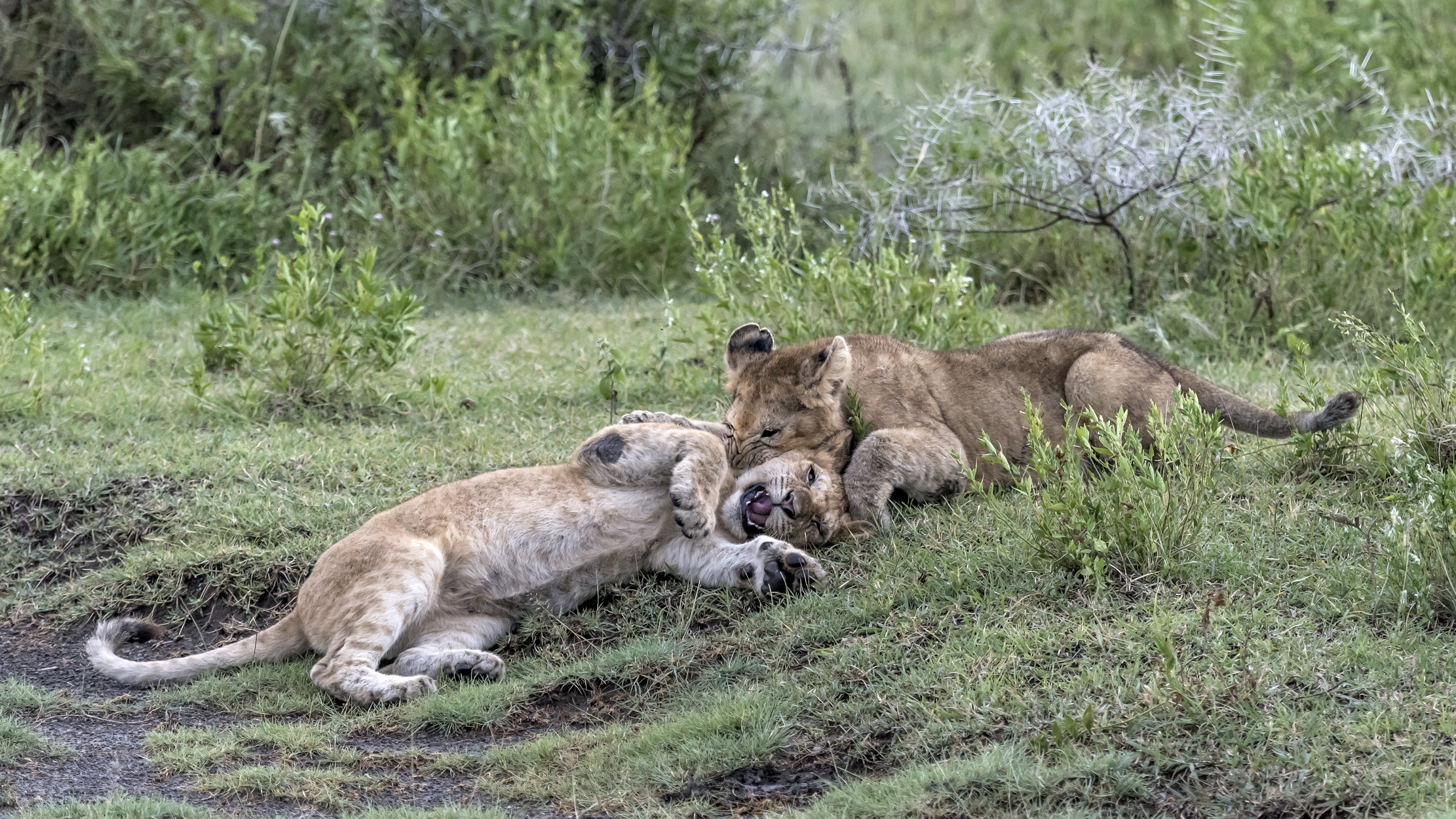 Tanzania 2016 - Giochi