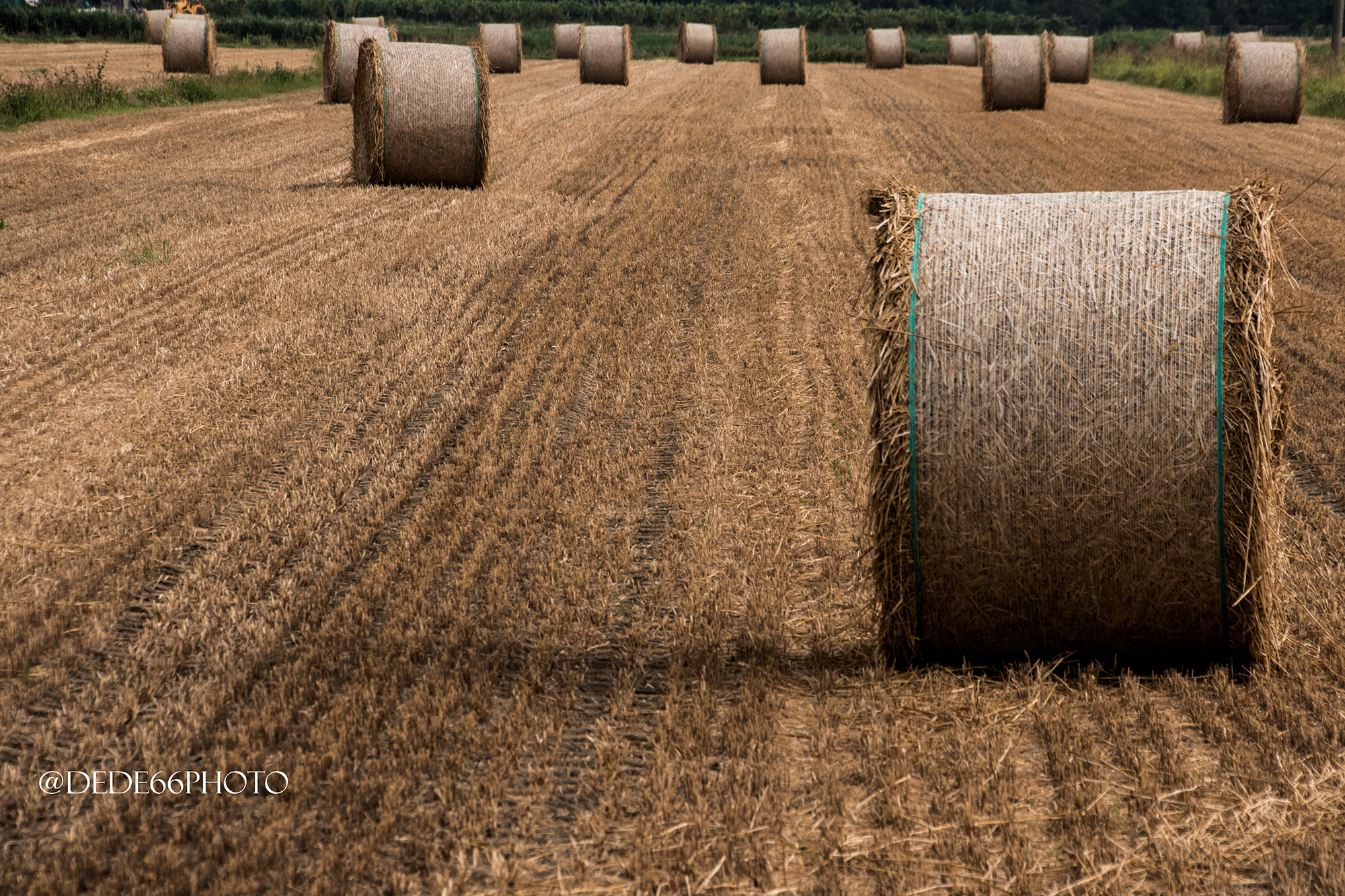 Formation of bales