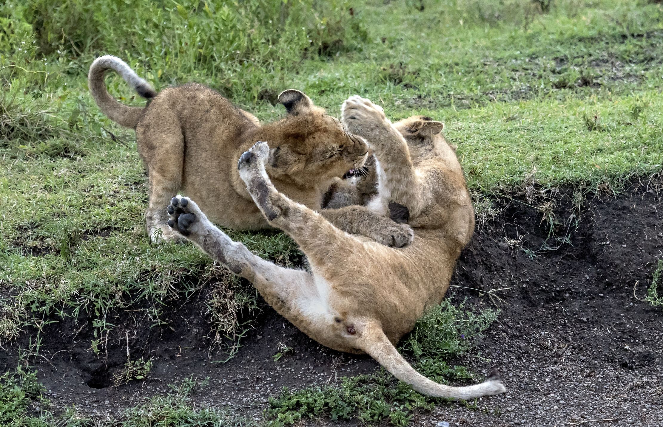 Tanzania 2016 - Giochi