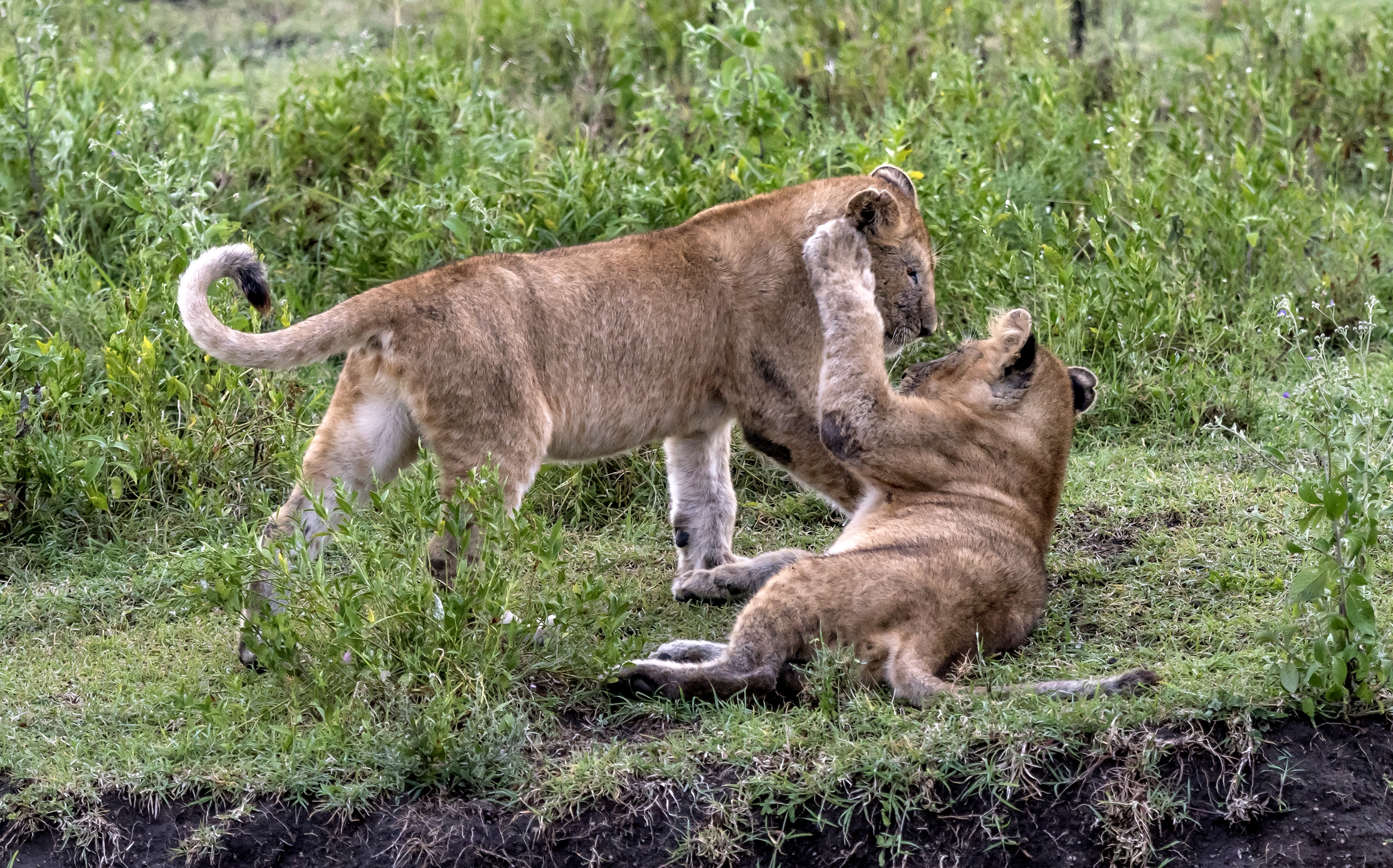 Tanzania 2016 - Giochi