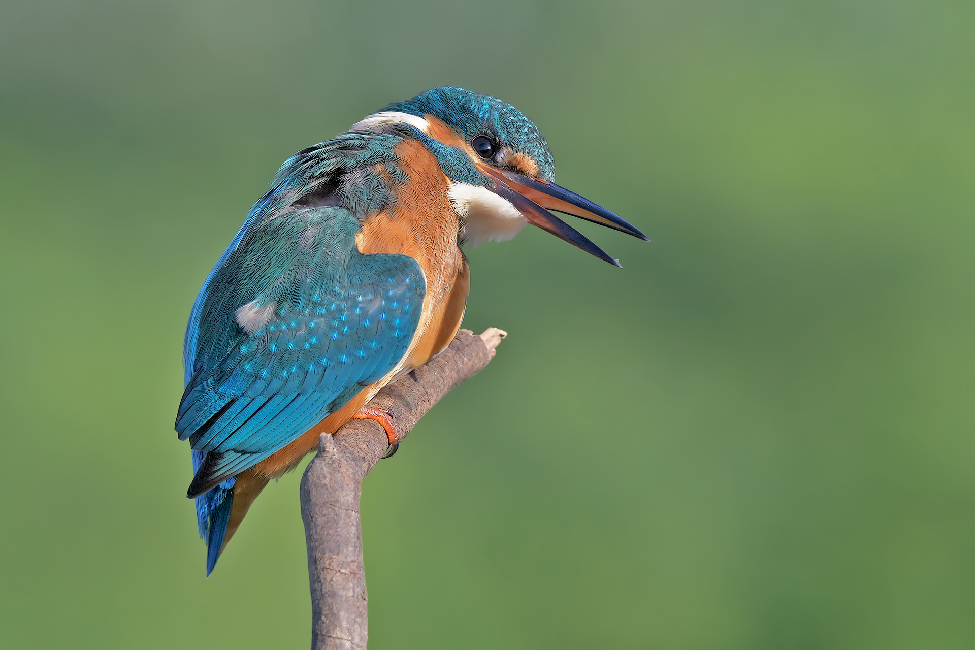 I look at you wrong !!!