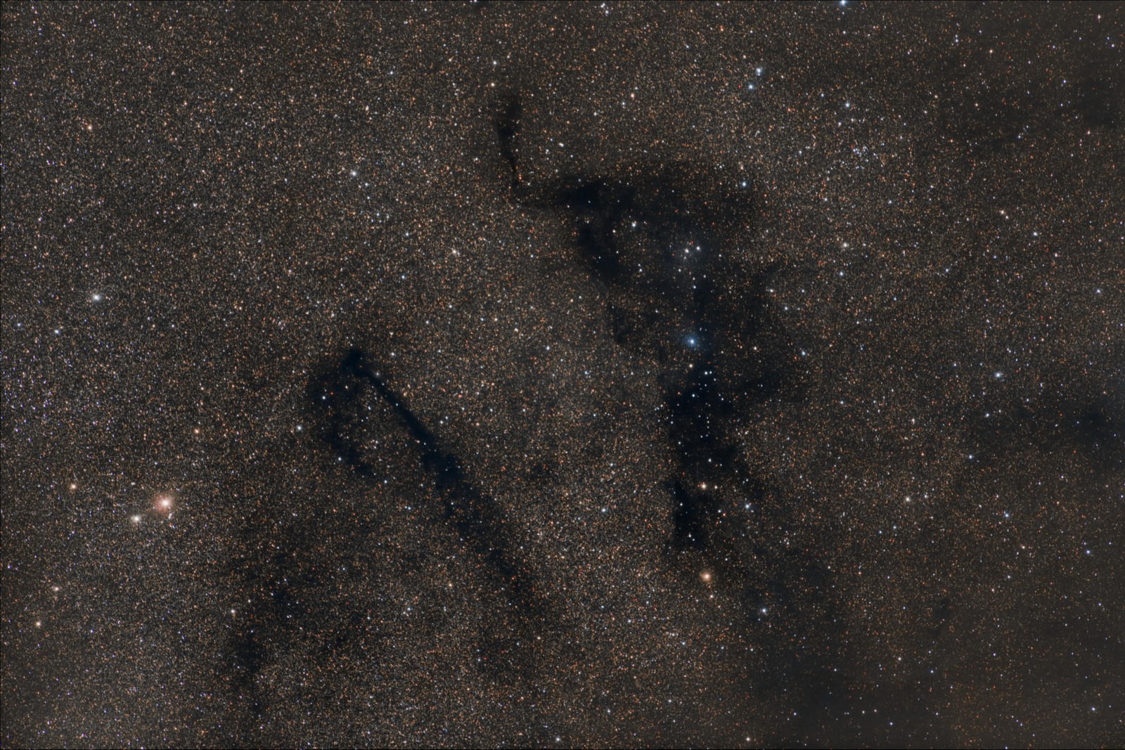 LDN 768/778 in Vulpecula