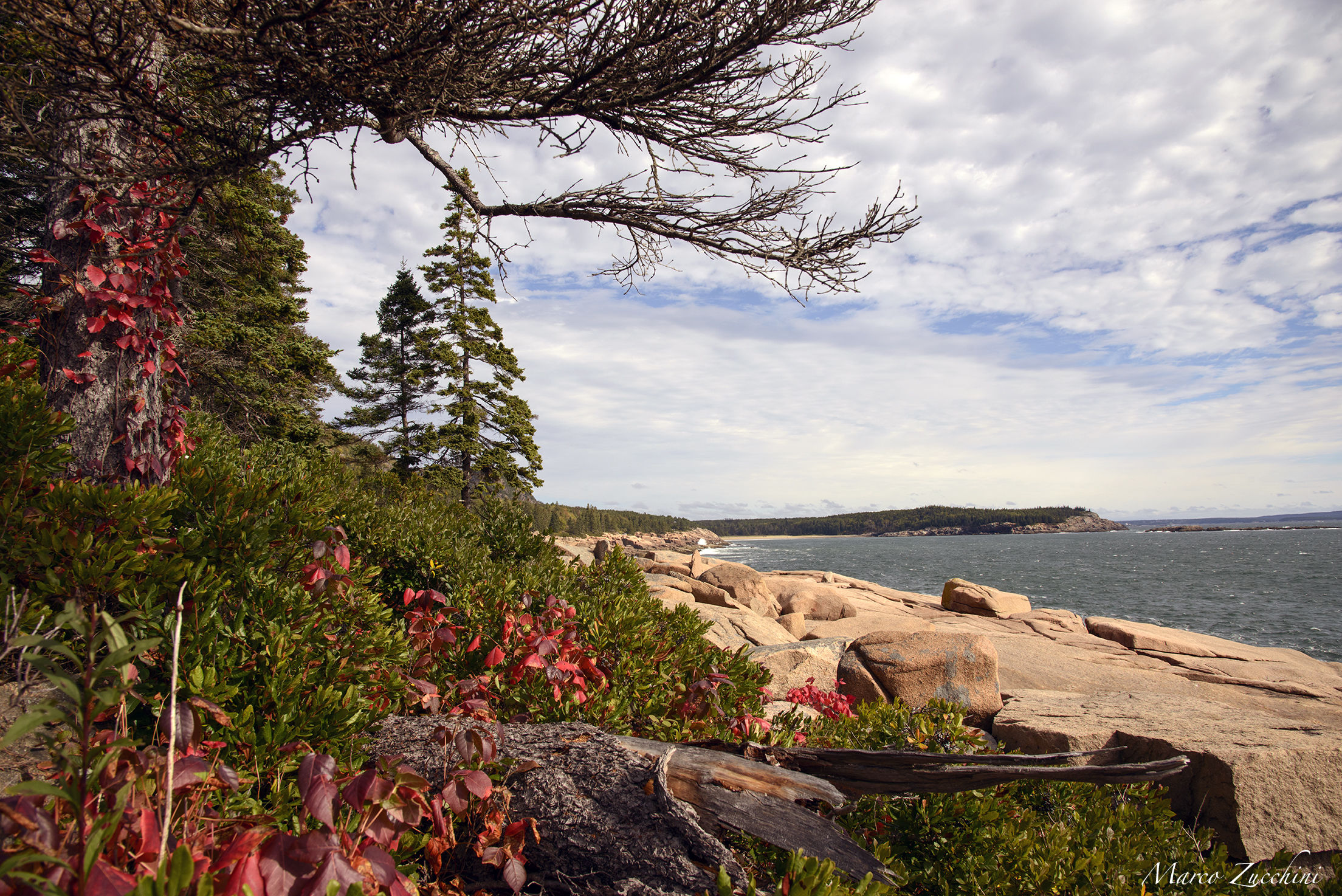 Fall is coming - Acadia National Park, Maine, USA