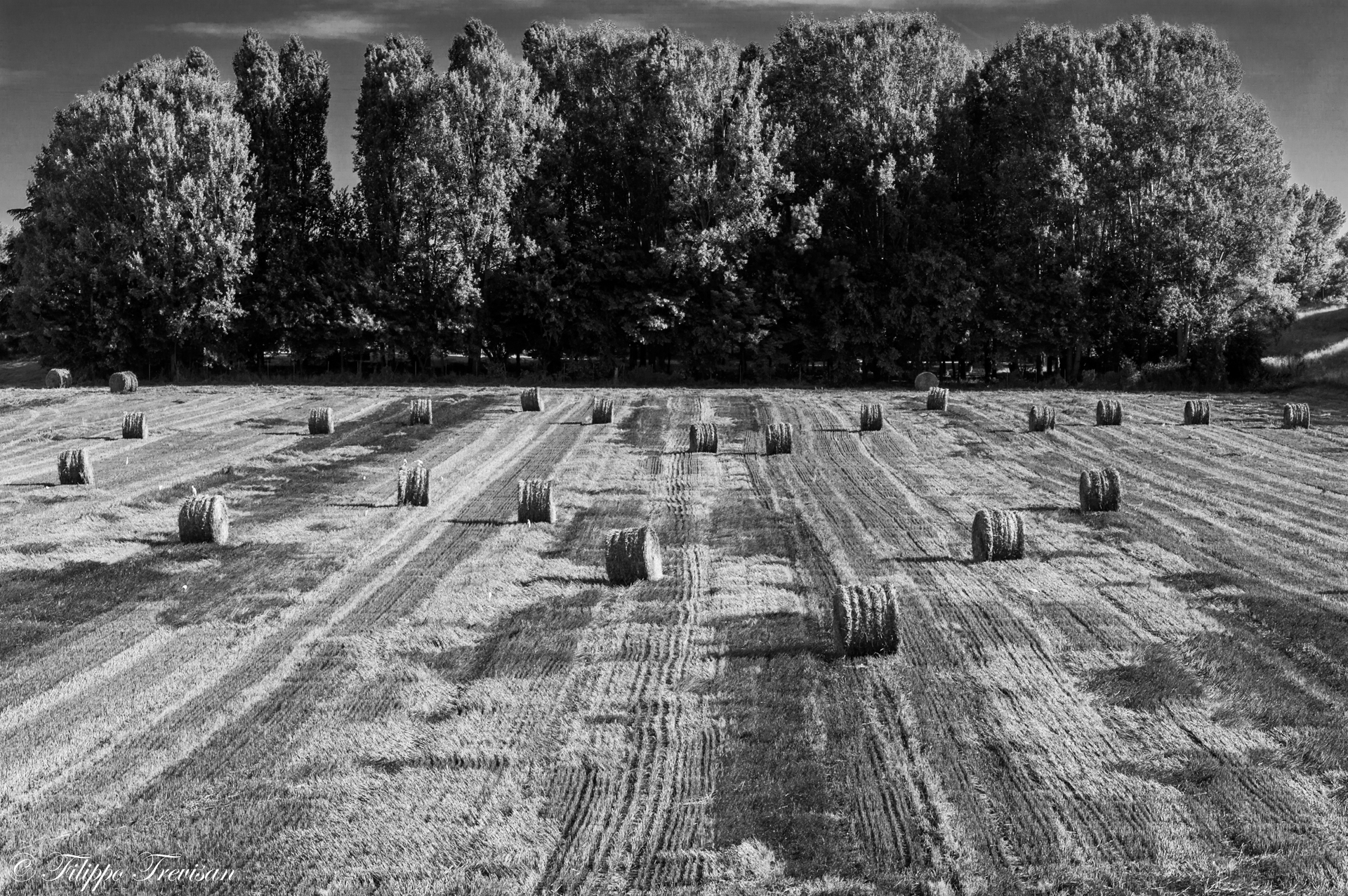 The color of the Polesine..in b / w