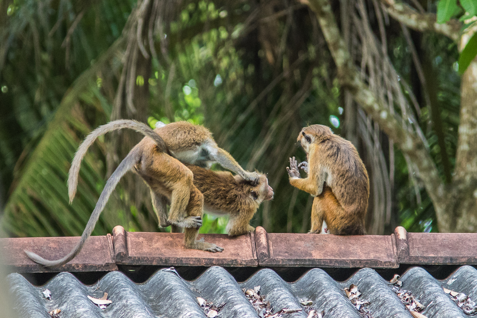Fate pure come se non ci fossi