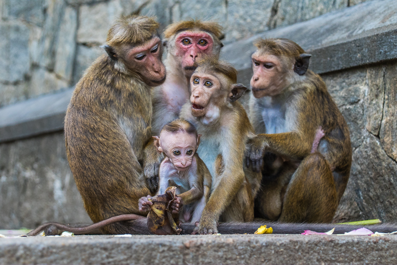 Famiglia al completo
