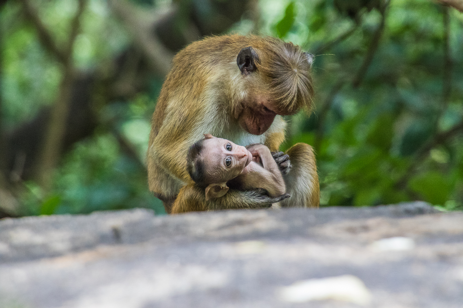 Il mondo è nei tuoi occhi