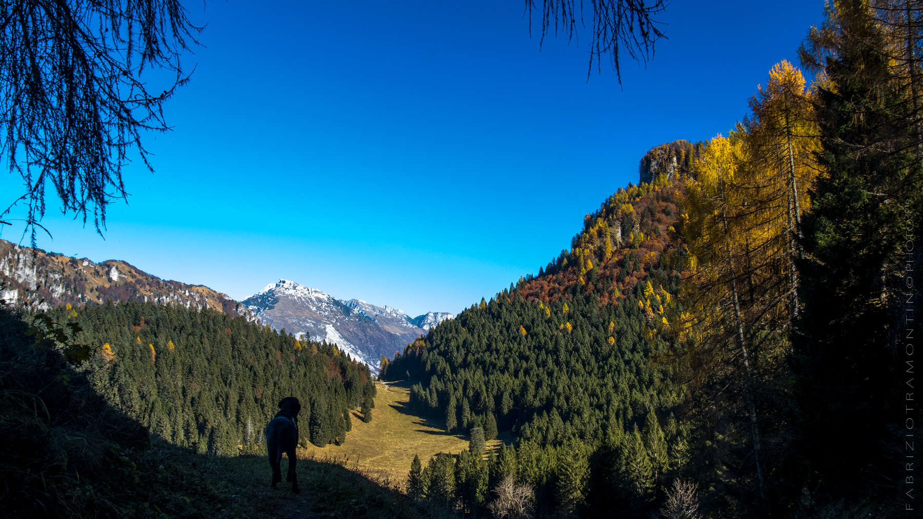 Parco Nazionale Dolomiti Bellunesi