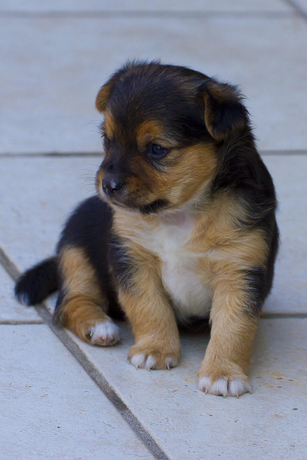 Pepe, un maschietto che promette bene.