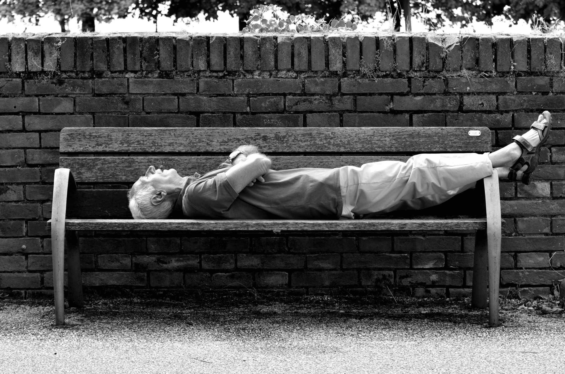 Pennichella pomeridiana