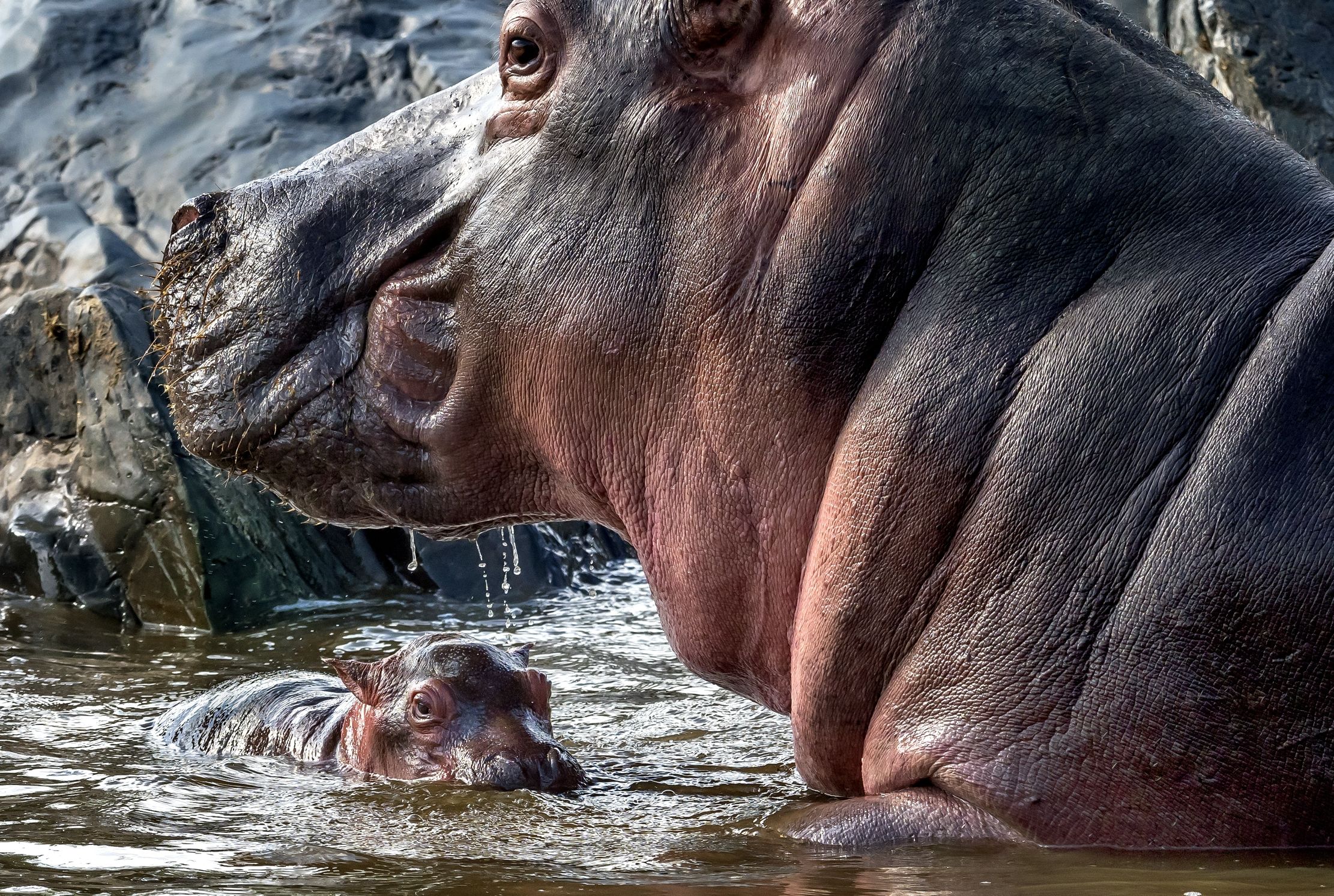 Tanzania 2016 - Questione di proporzioni