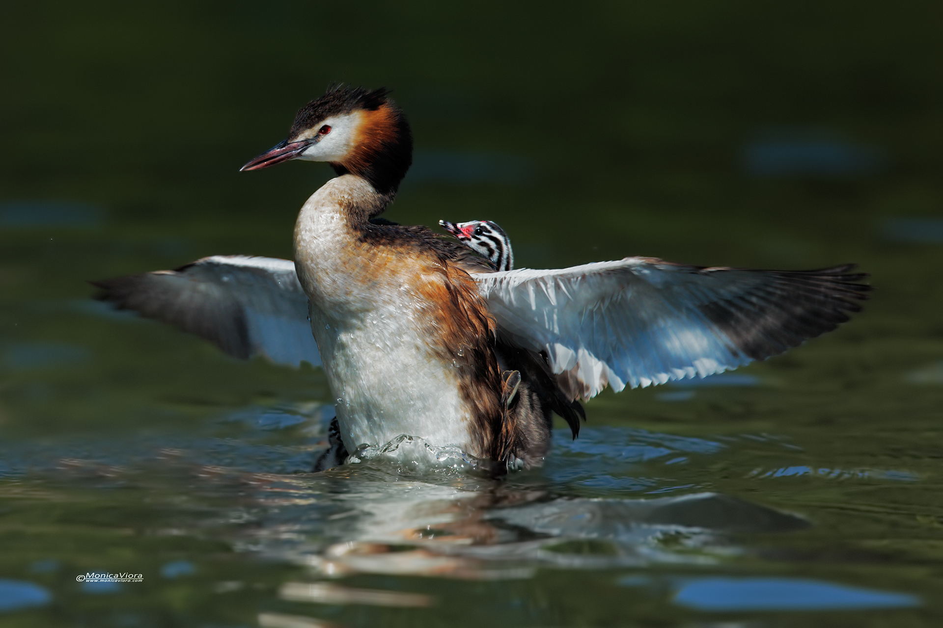 Scendi che è calda!