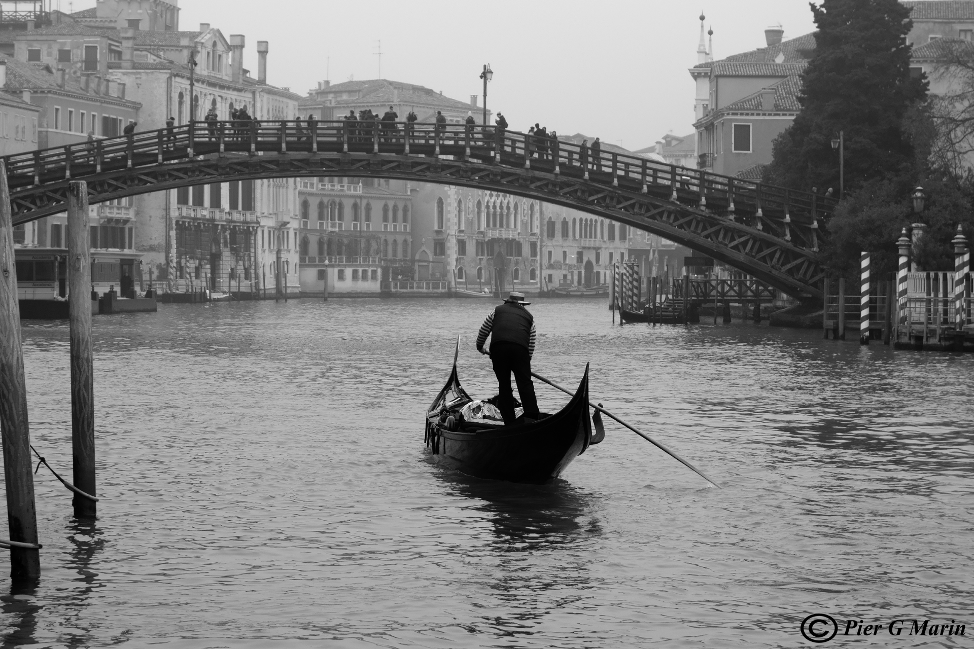 Venezia, Ponte dell'Accademia, 2013