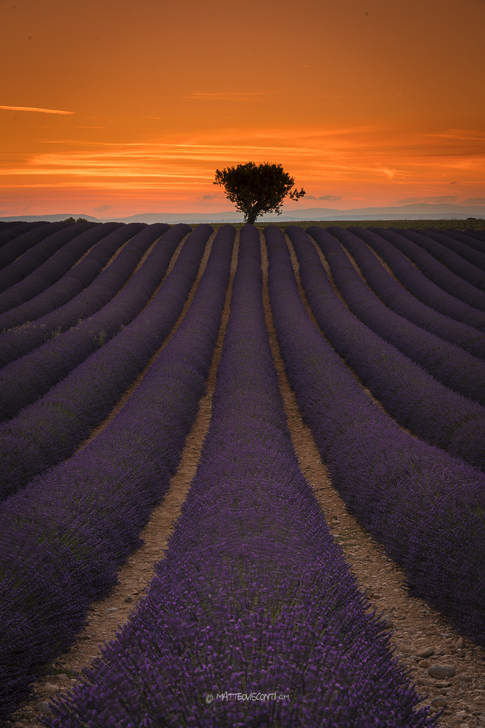 sunset in valensole