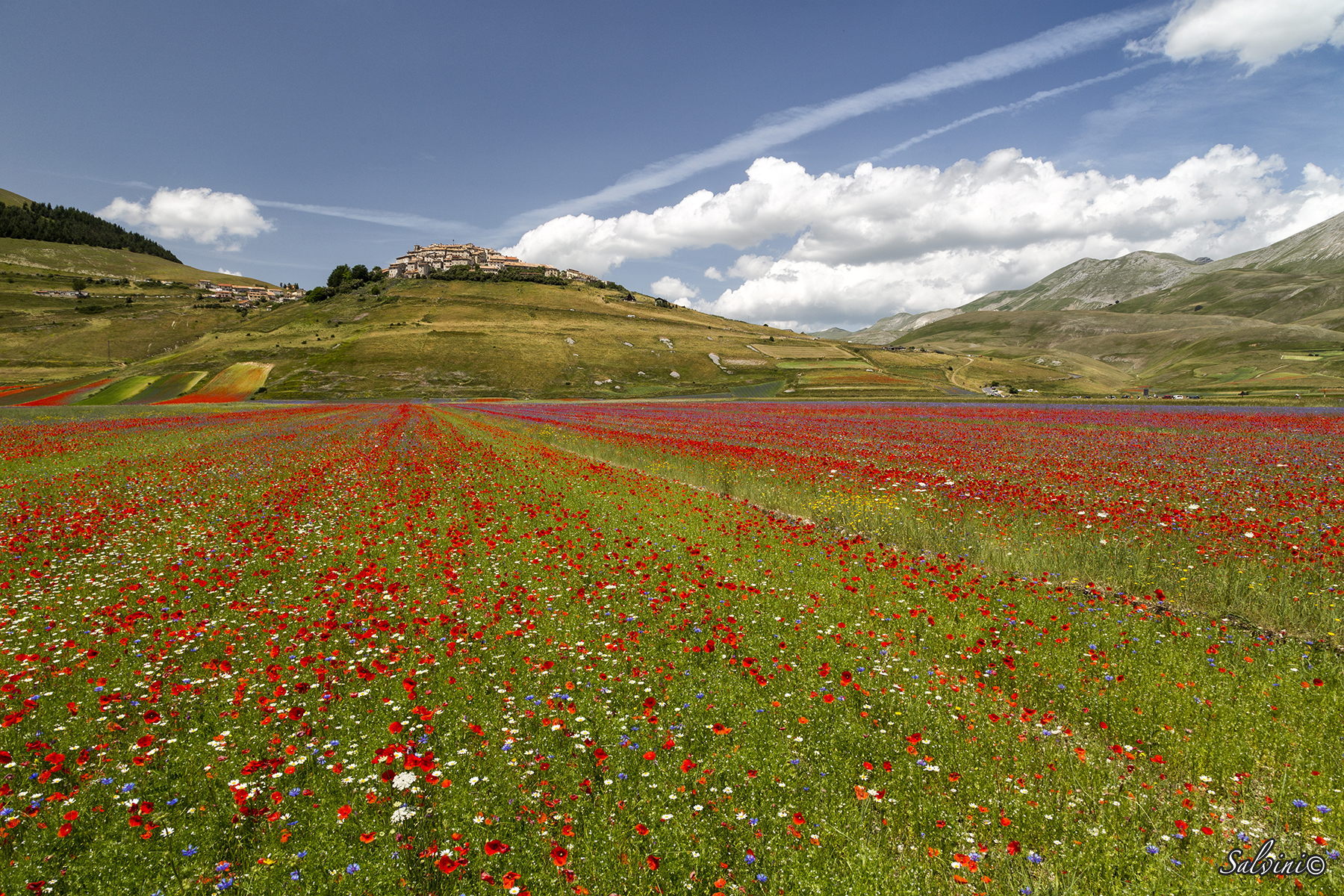 Castelluccio di Norcia
