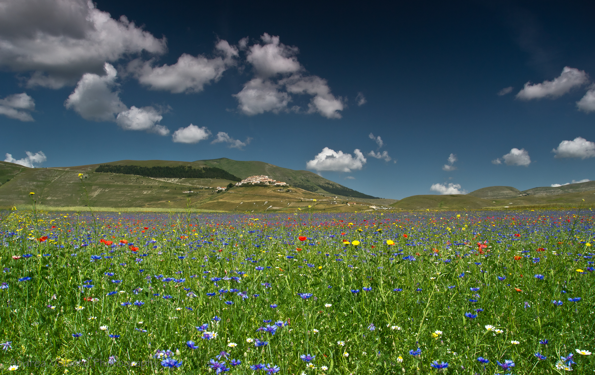 Come un pesce ..nel variopinto mare del pian Grande.