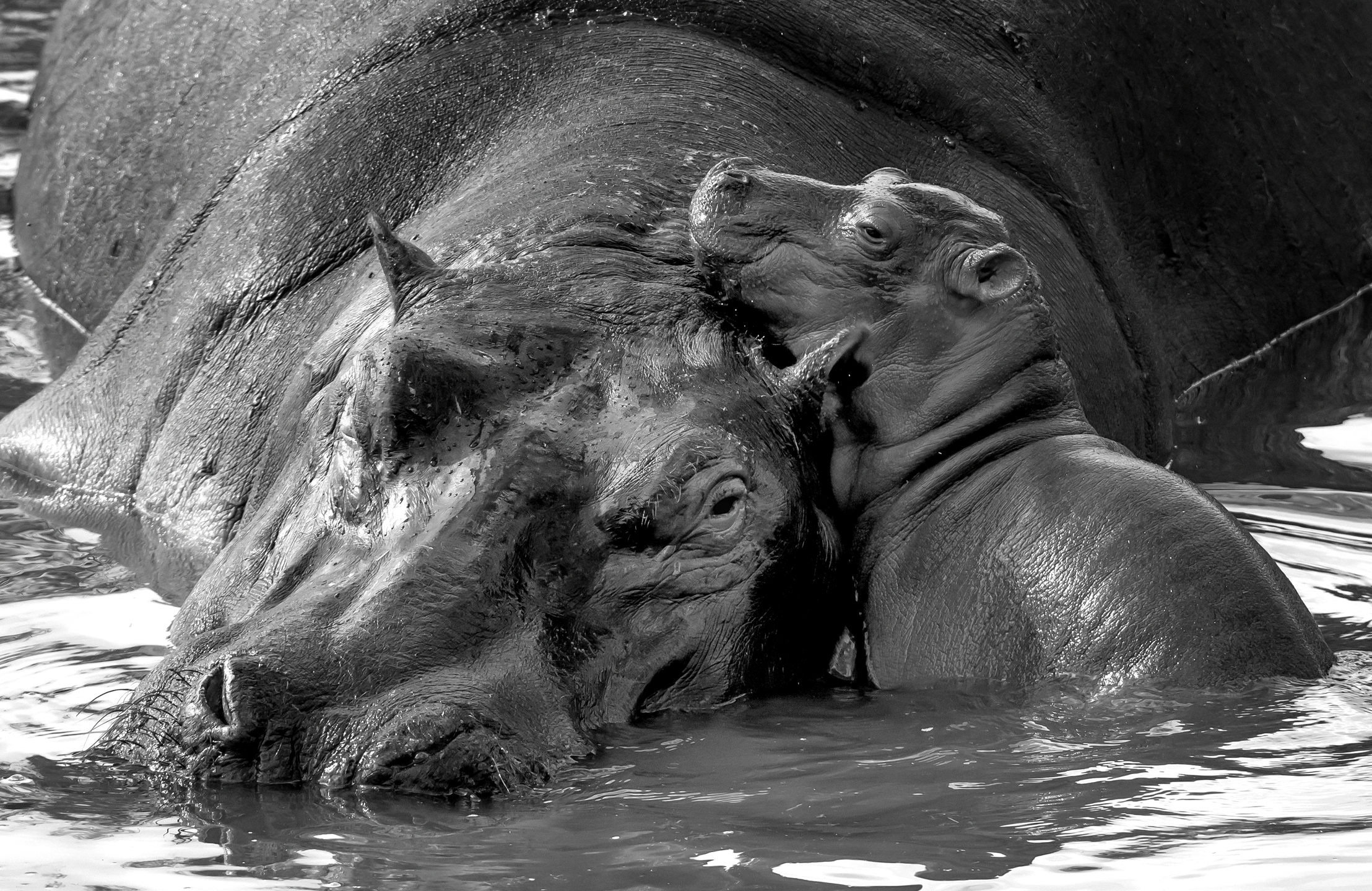 Tanzania 2016 - Affeto B&W