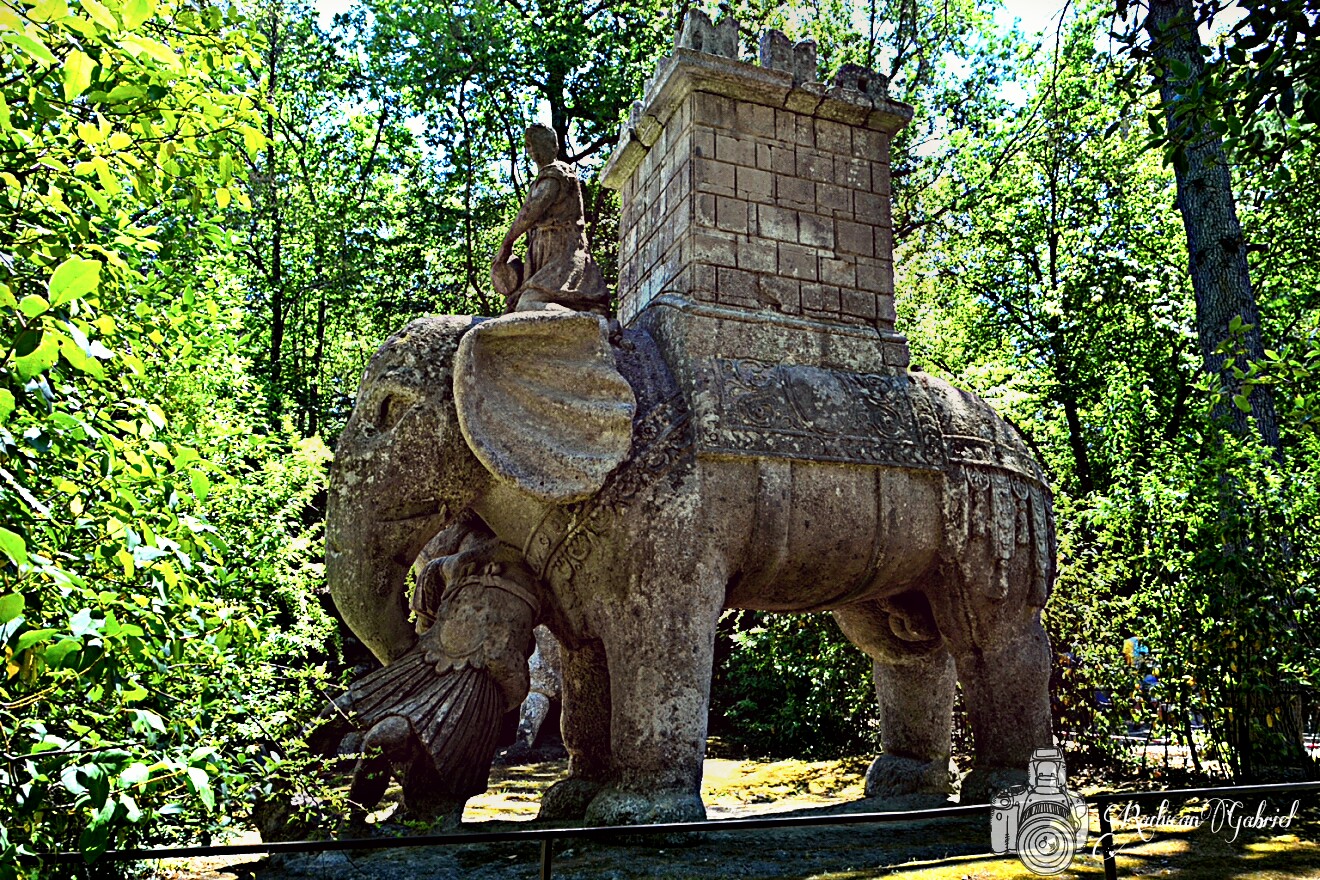 Bomarzo Elefante