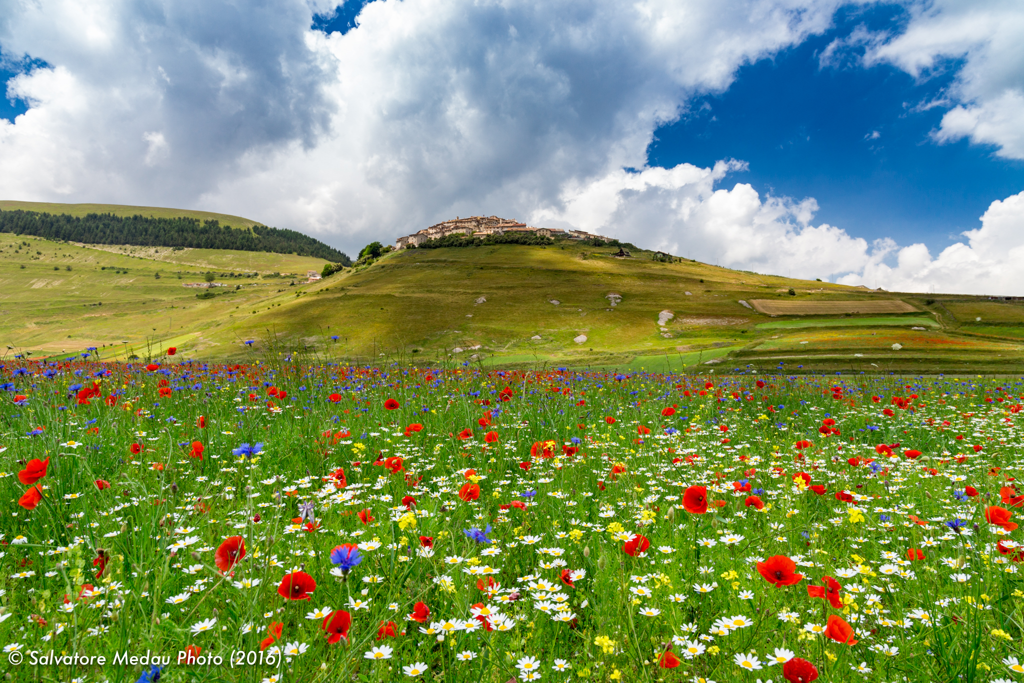 Esplosione di colori